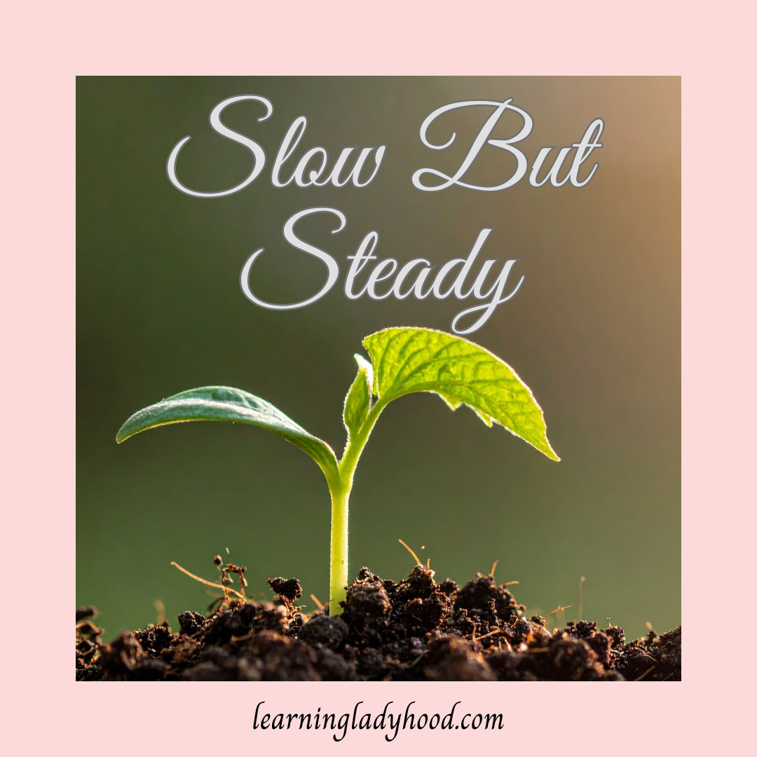 Slow But Steady