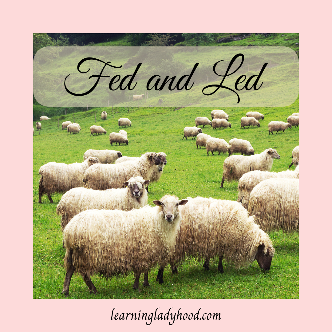 Fed and Led