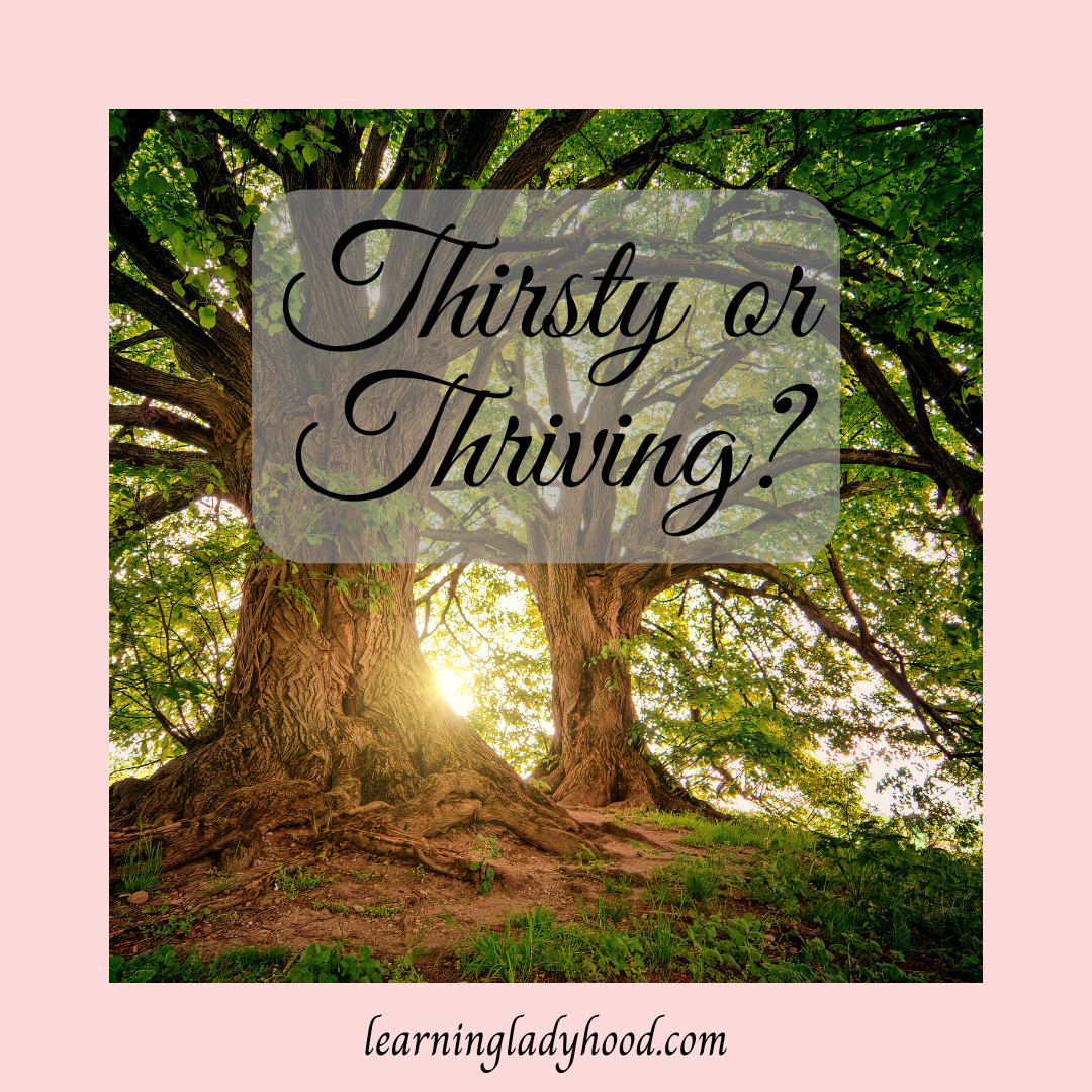 Thirsty or Thriving?