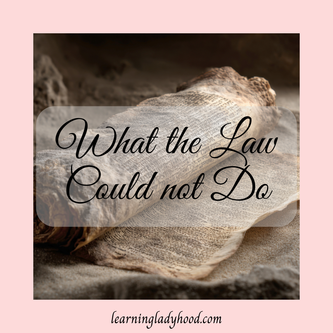 What the Law Could Not Do