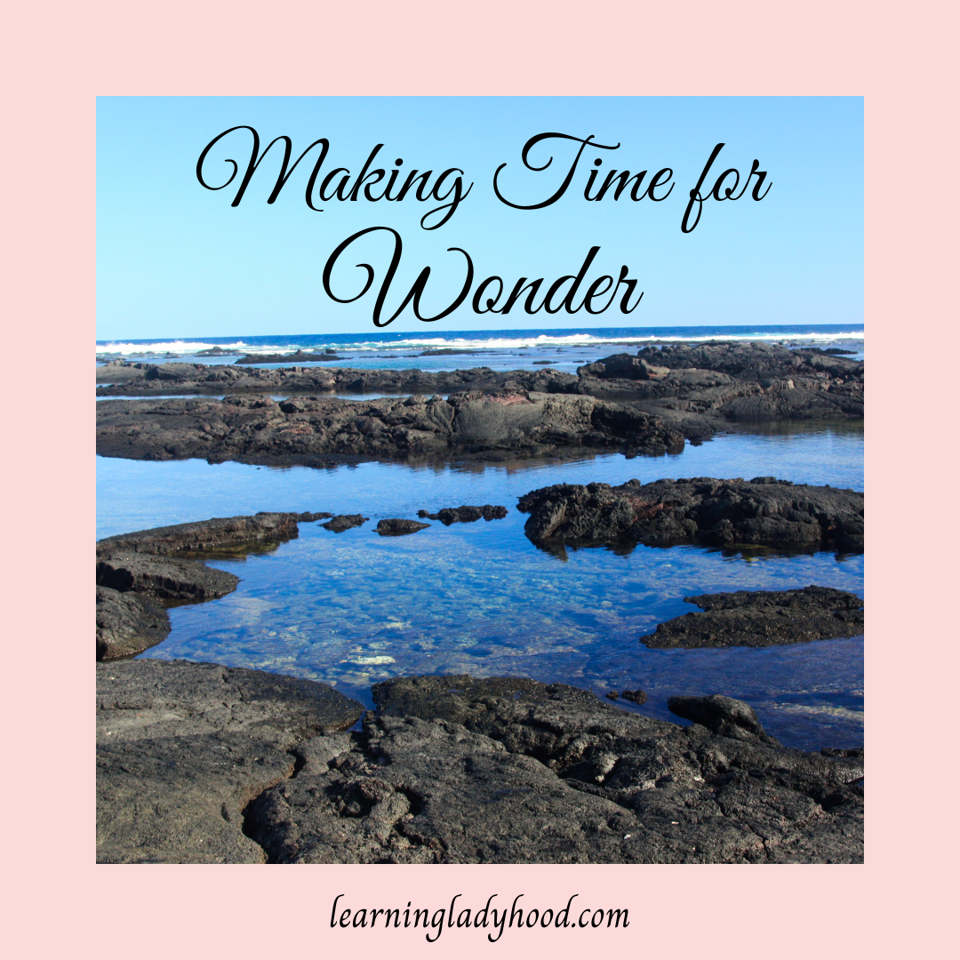 Making Time for Wonder