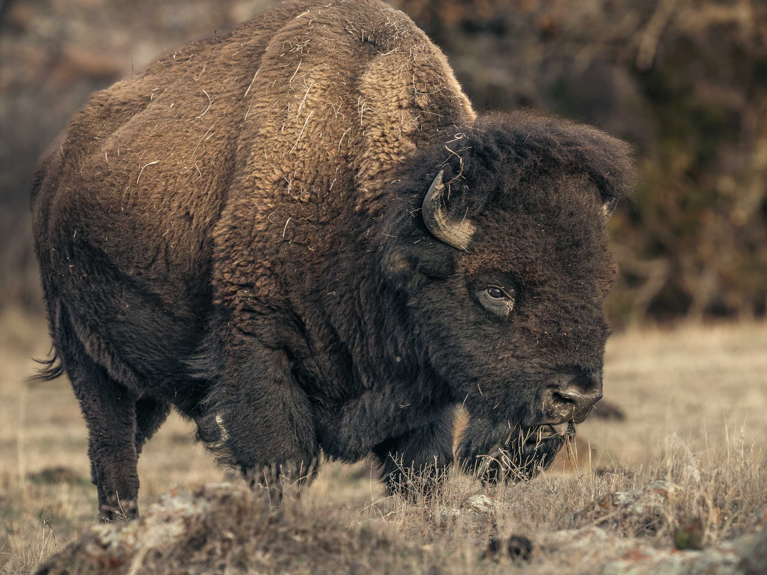 Sony A7R V |  600 MM, F7.1, 1/250S, ISO 400