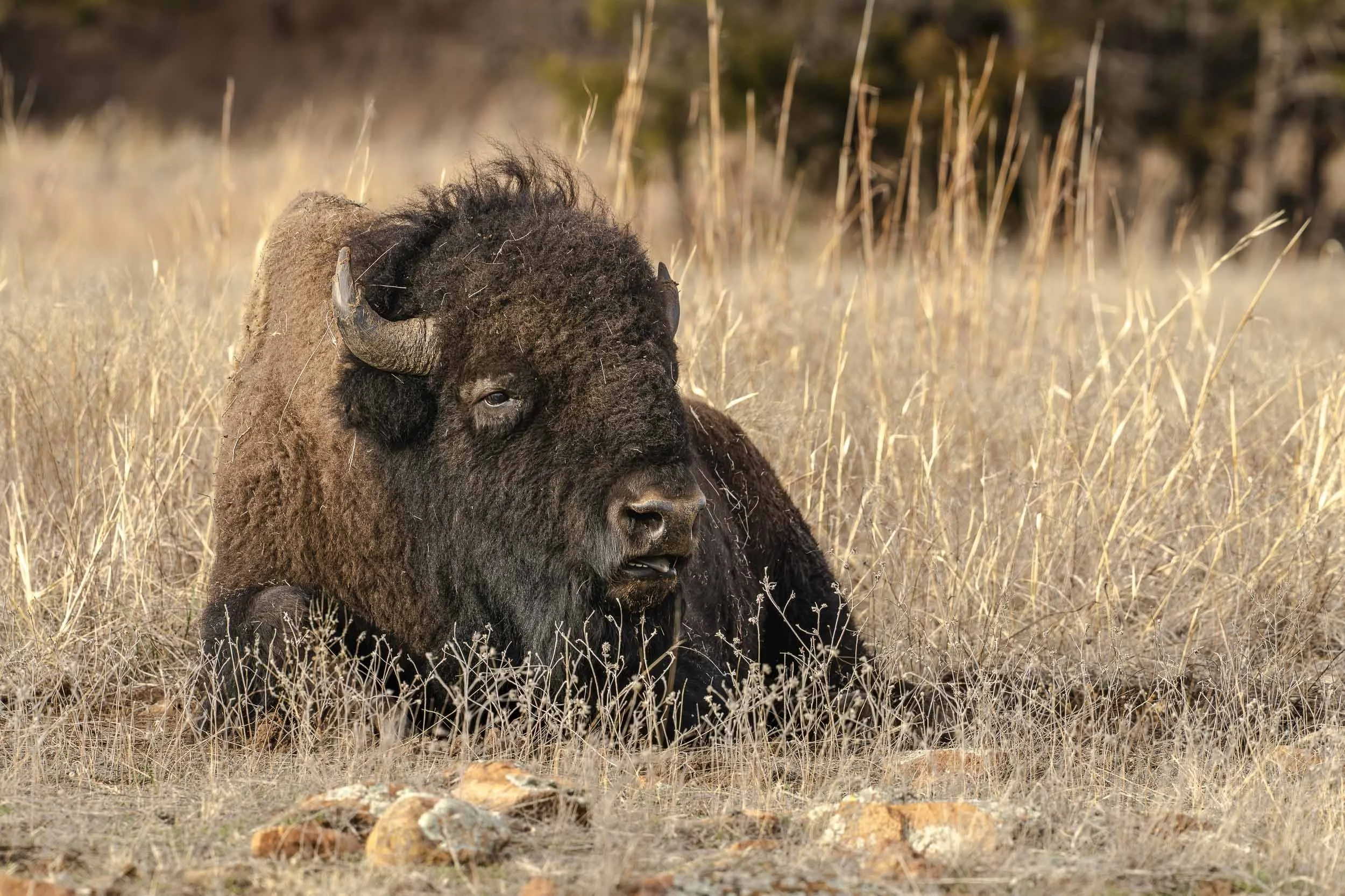 Sony A7R V | 442MM, F9, 1/1000S, ISO 1250