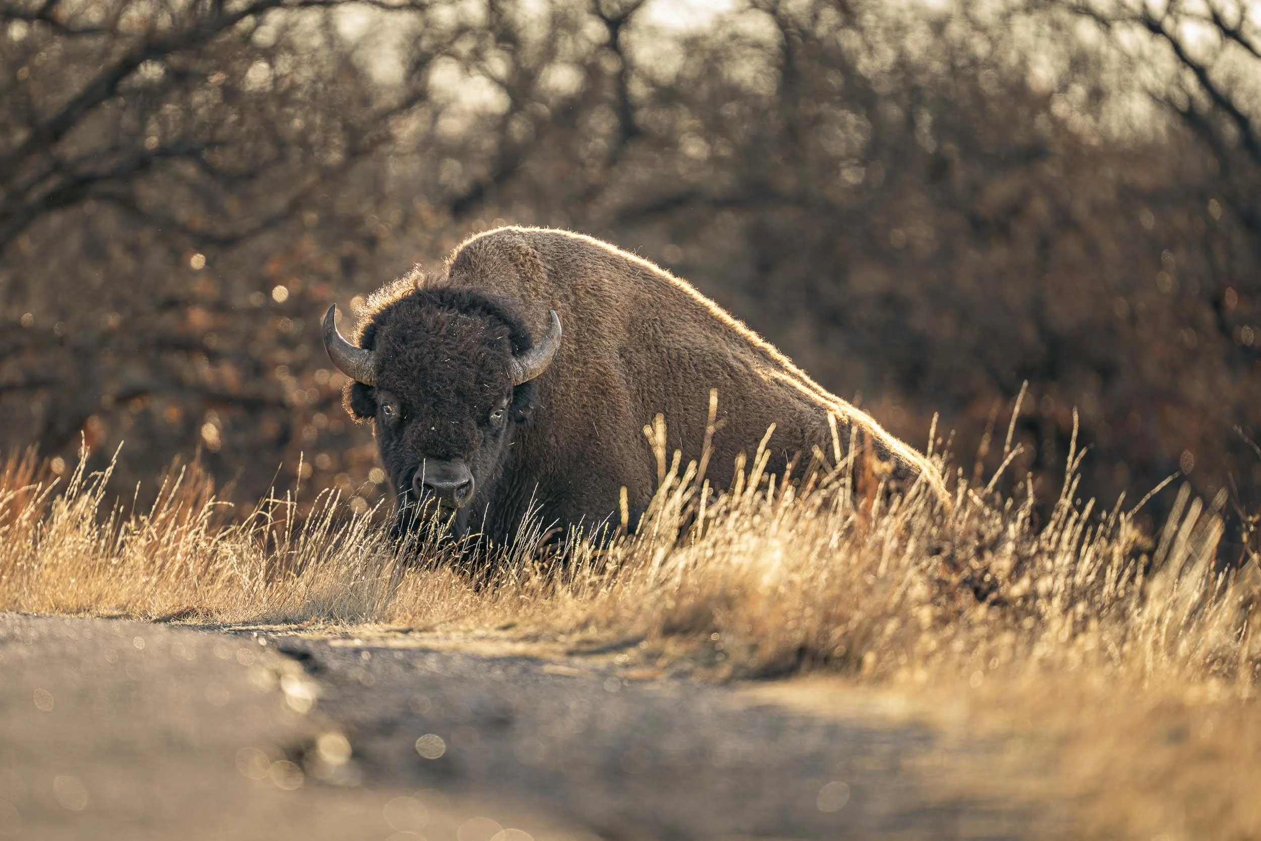 Sony A7R V | 597MM, F4.5, 1/640S, ISO 640