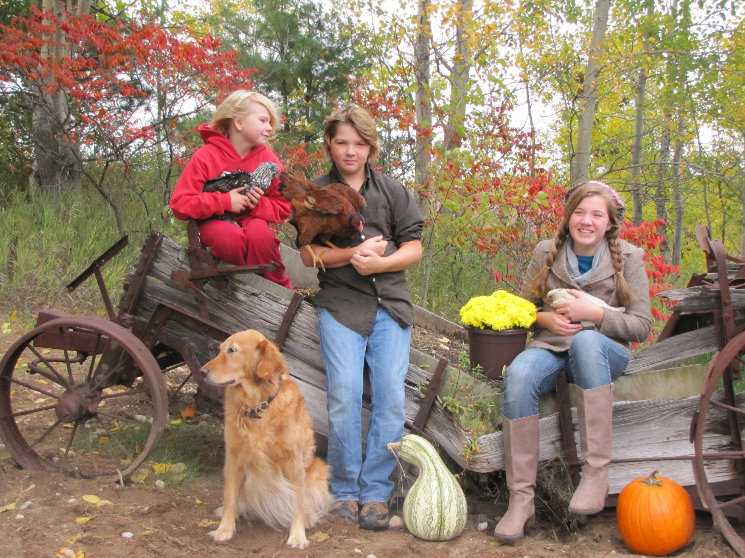 fall pics 2012.JPG