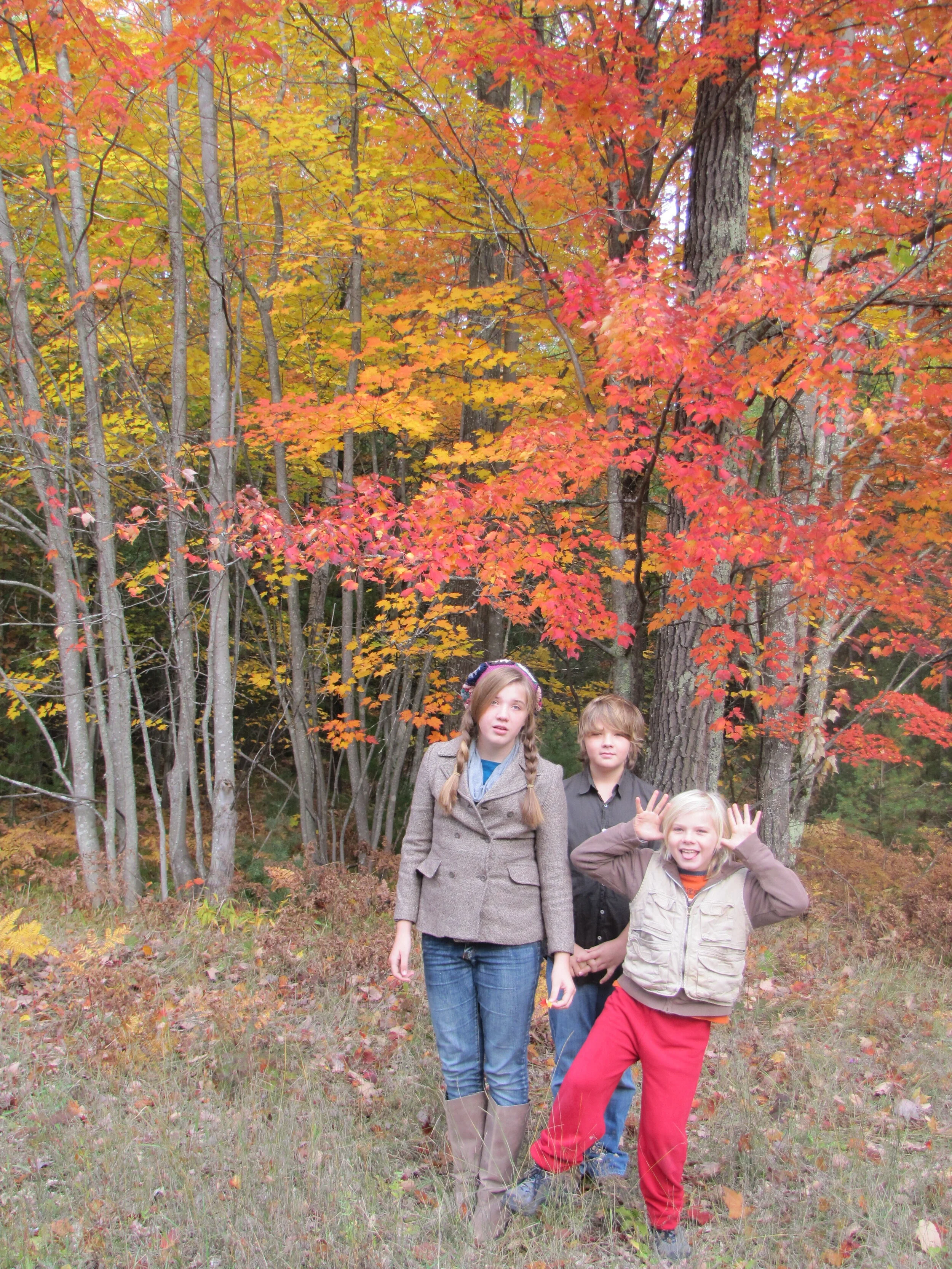 fall pics 2012 4.JPG