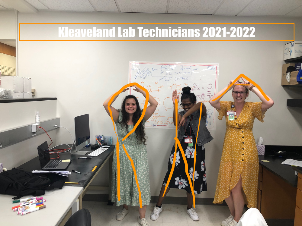 Good Times — Kleaveland Lab