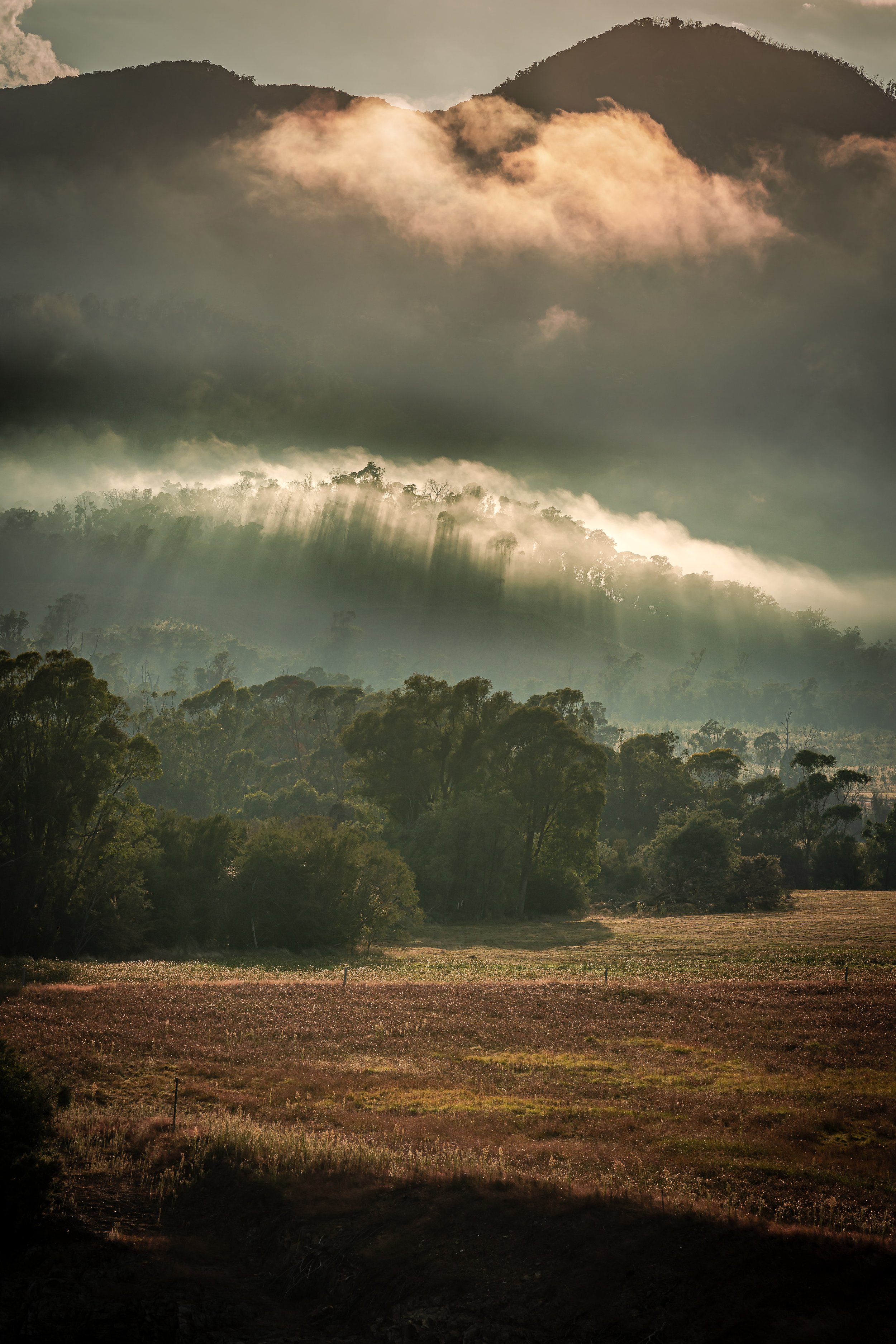 Dawn close to Mount Buffalo