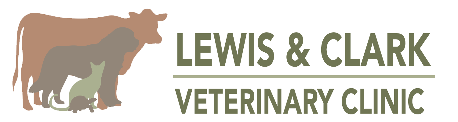 Meet the Staff | Lewis and Clark Veterinary Clinic — Lewis and Clark Veterinary  Clinic