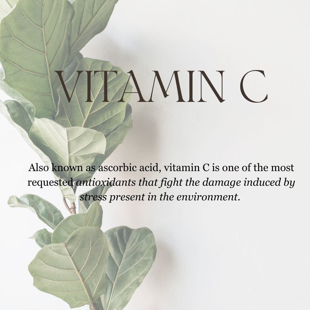 This powerhouse ingredient has been making a name for itself in the industry and we want to educate you on what it is, how to use it and what skin types can benefit from using it! ​​​​​​​​​
All skin types can benefit from vitamin C, especially in the