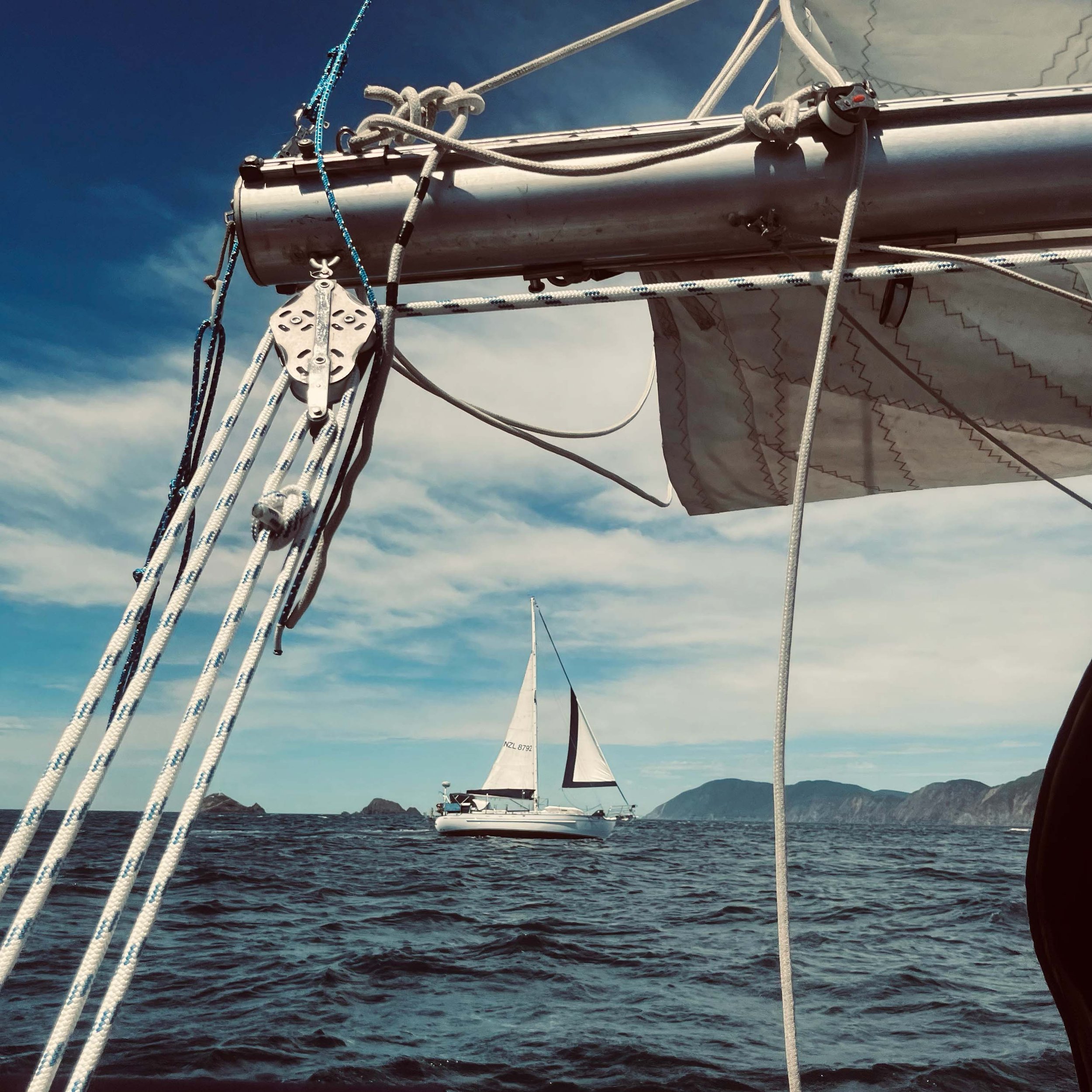 Everyday Sailing Terms You Need To Know