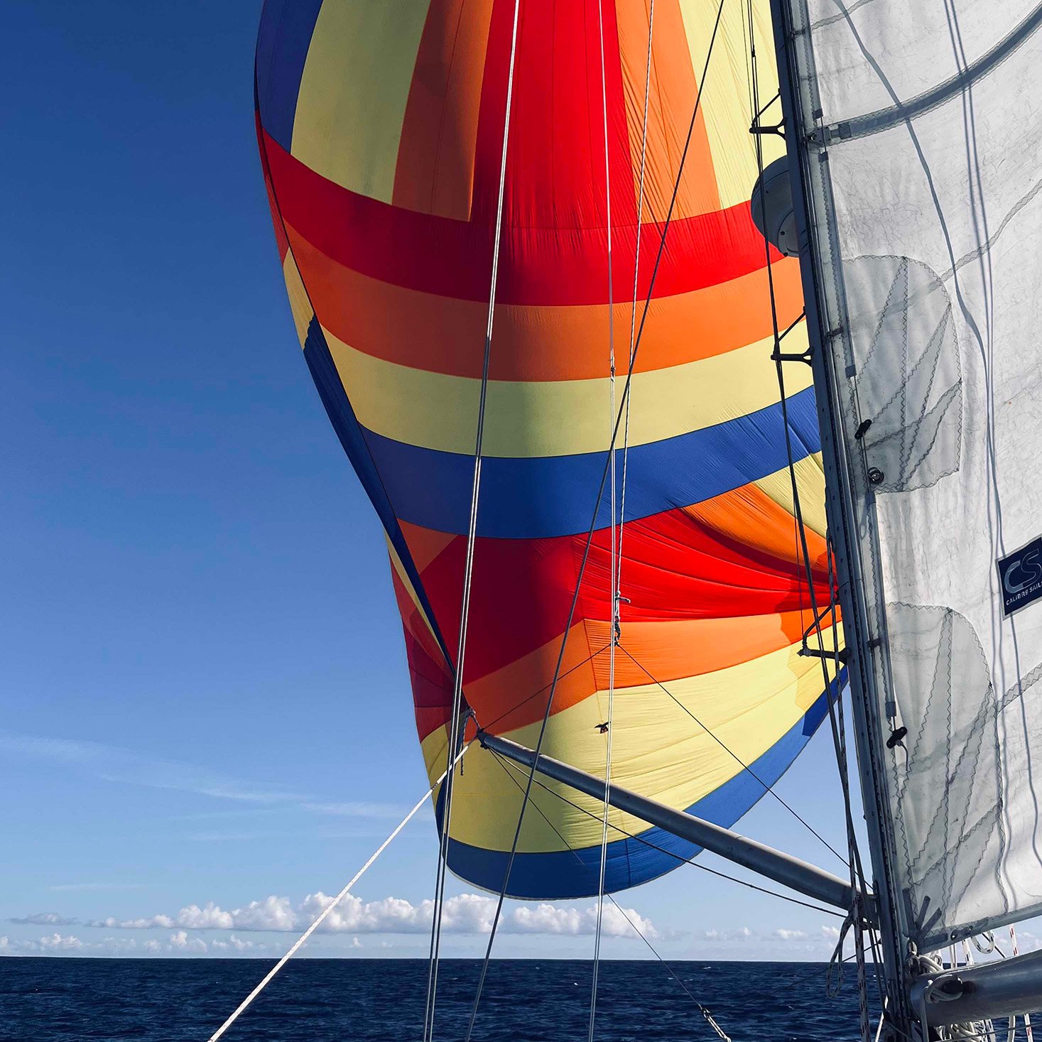 Beginner’s Guide to Types of Sails