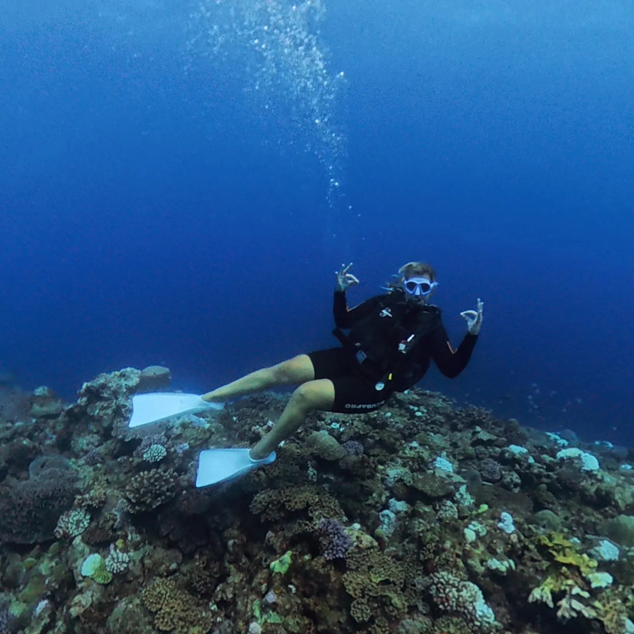 Diving Efate With Big Blue Vanuatu