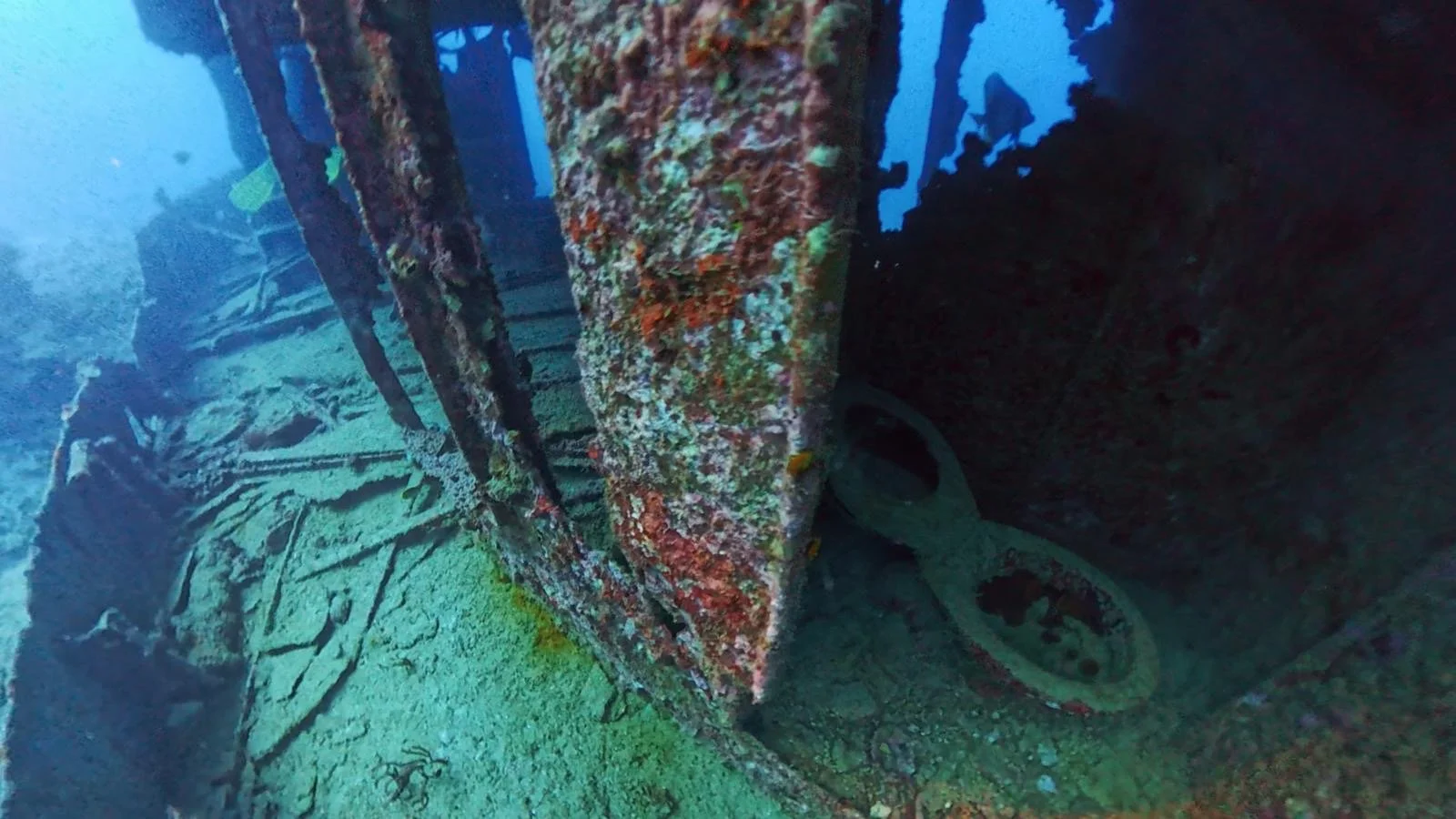 The head of the Bonzer wreck