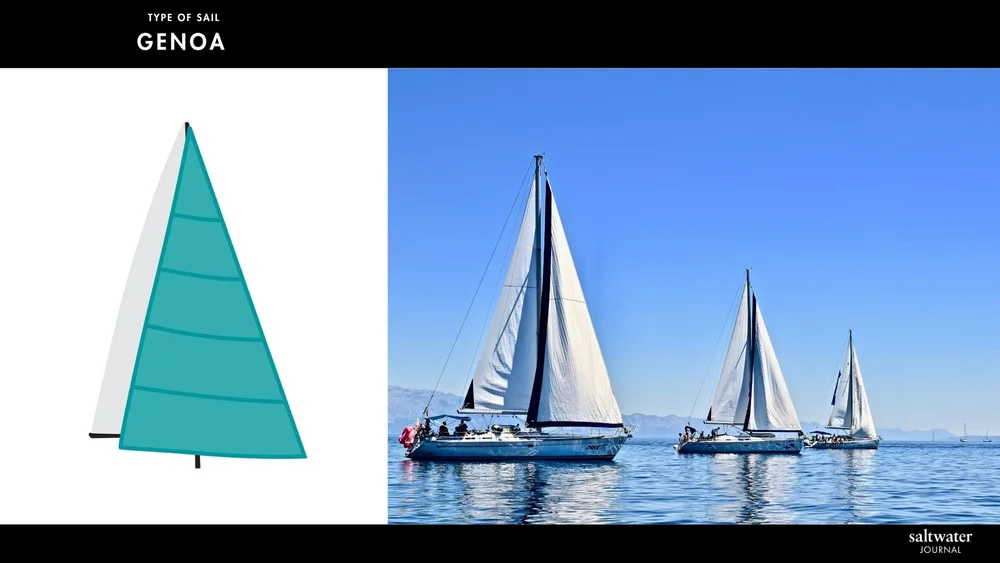 Beginner's Guide to Types of Sails — Saltwater Journal