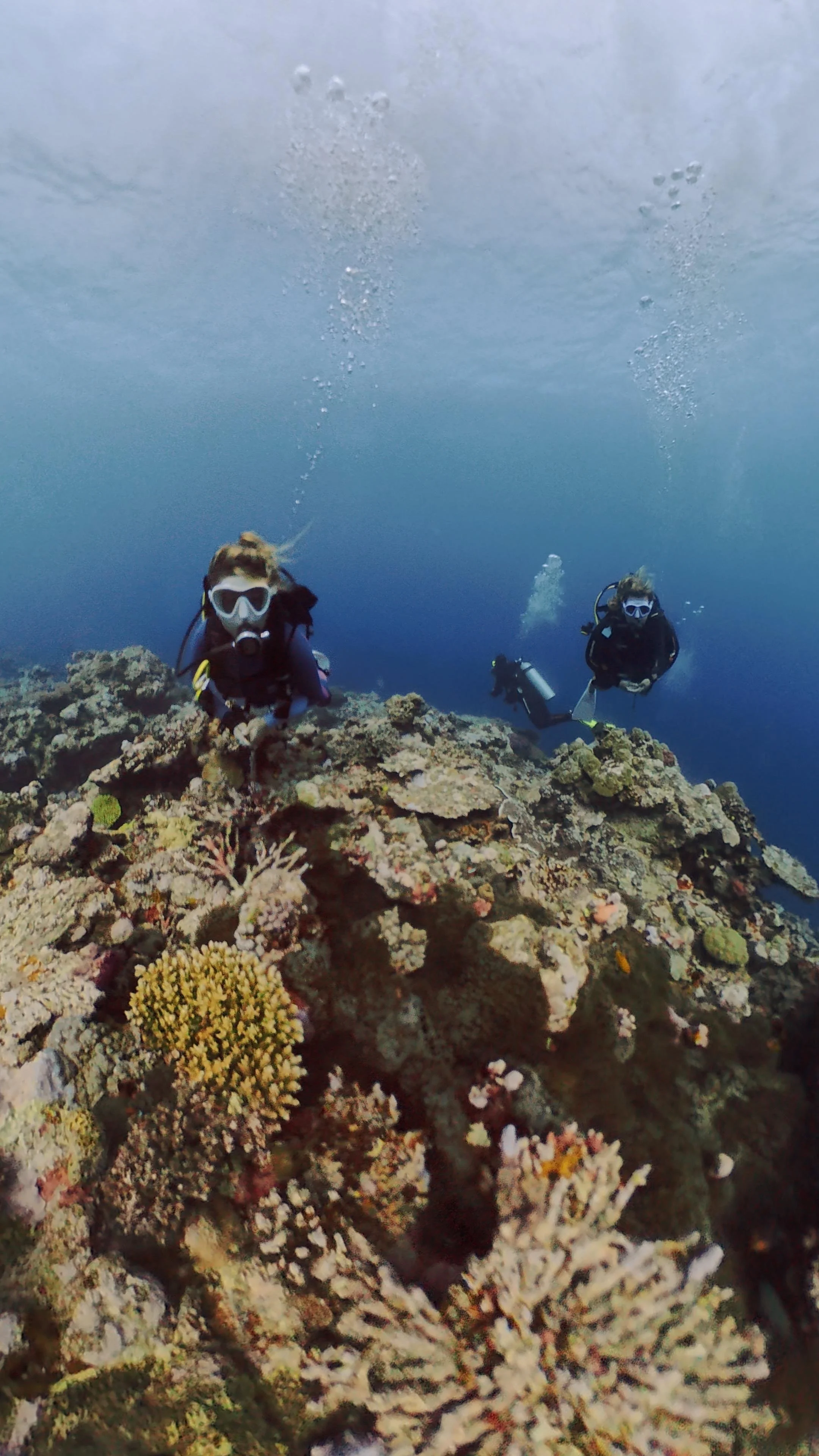 Tara Cooney diving West Side Story with Big Blue Vanuatu