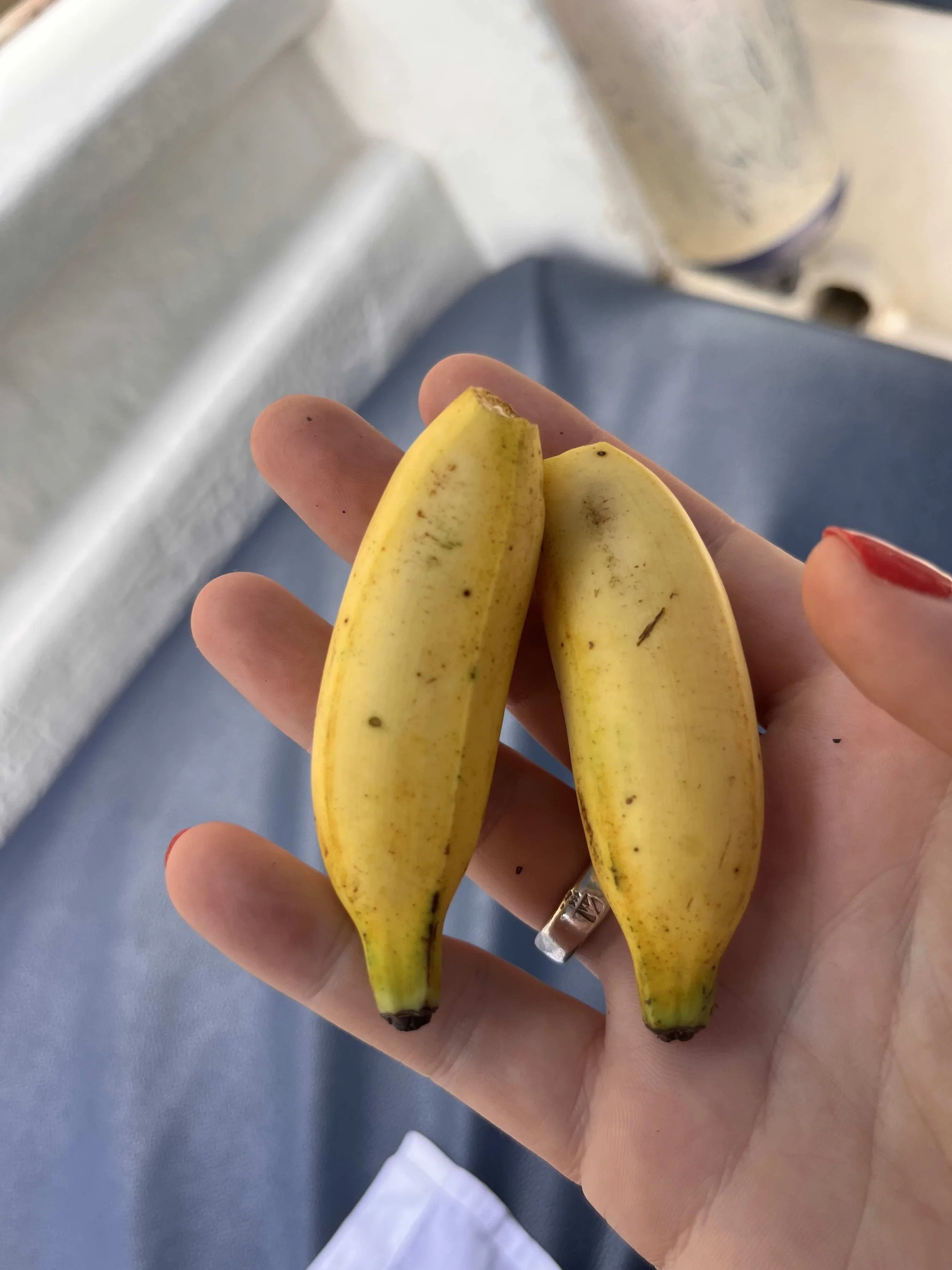 Small bananas onboard