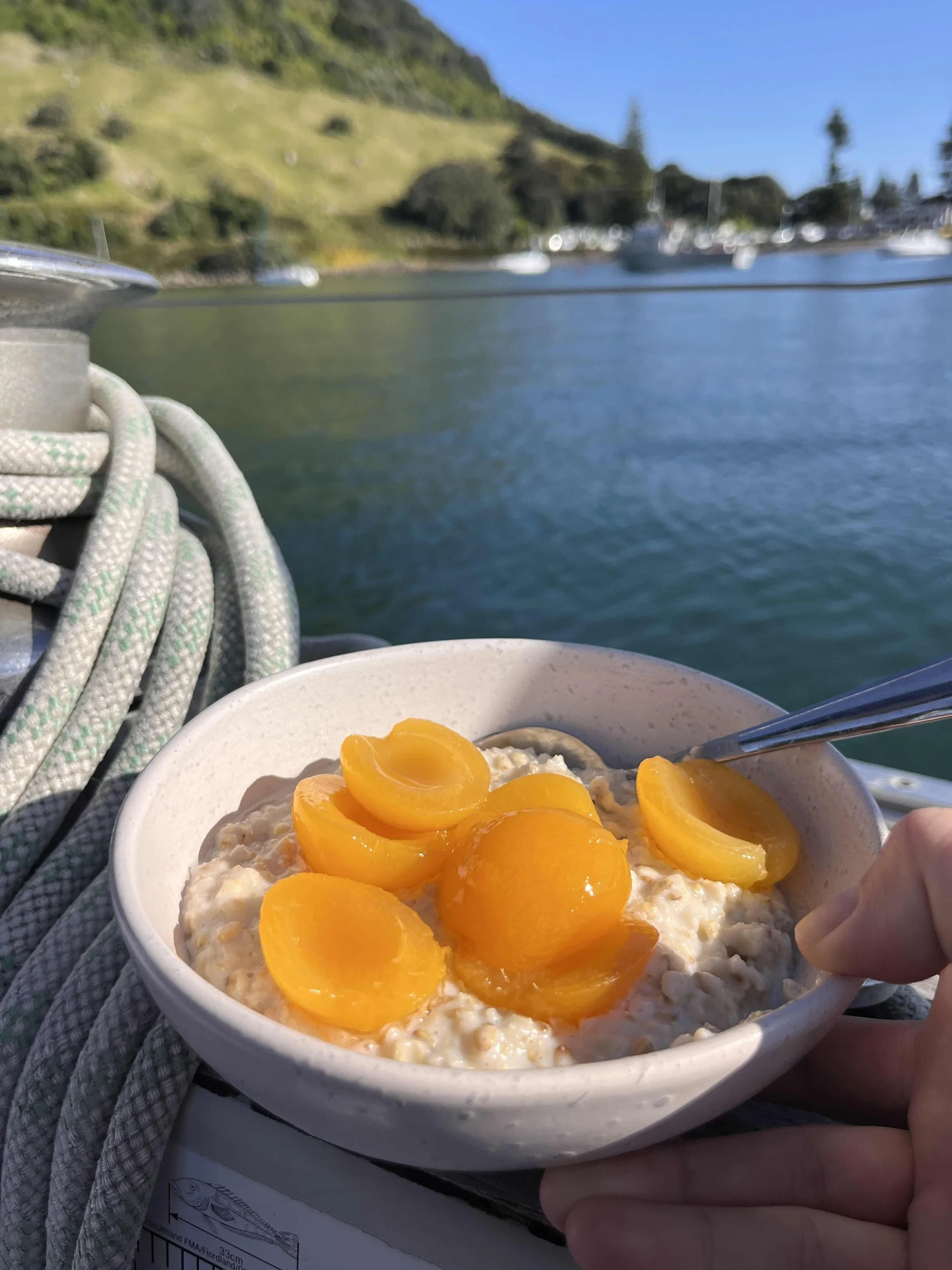 Porridge and apricots in a breakfast bowl onboard