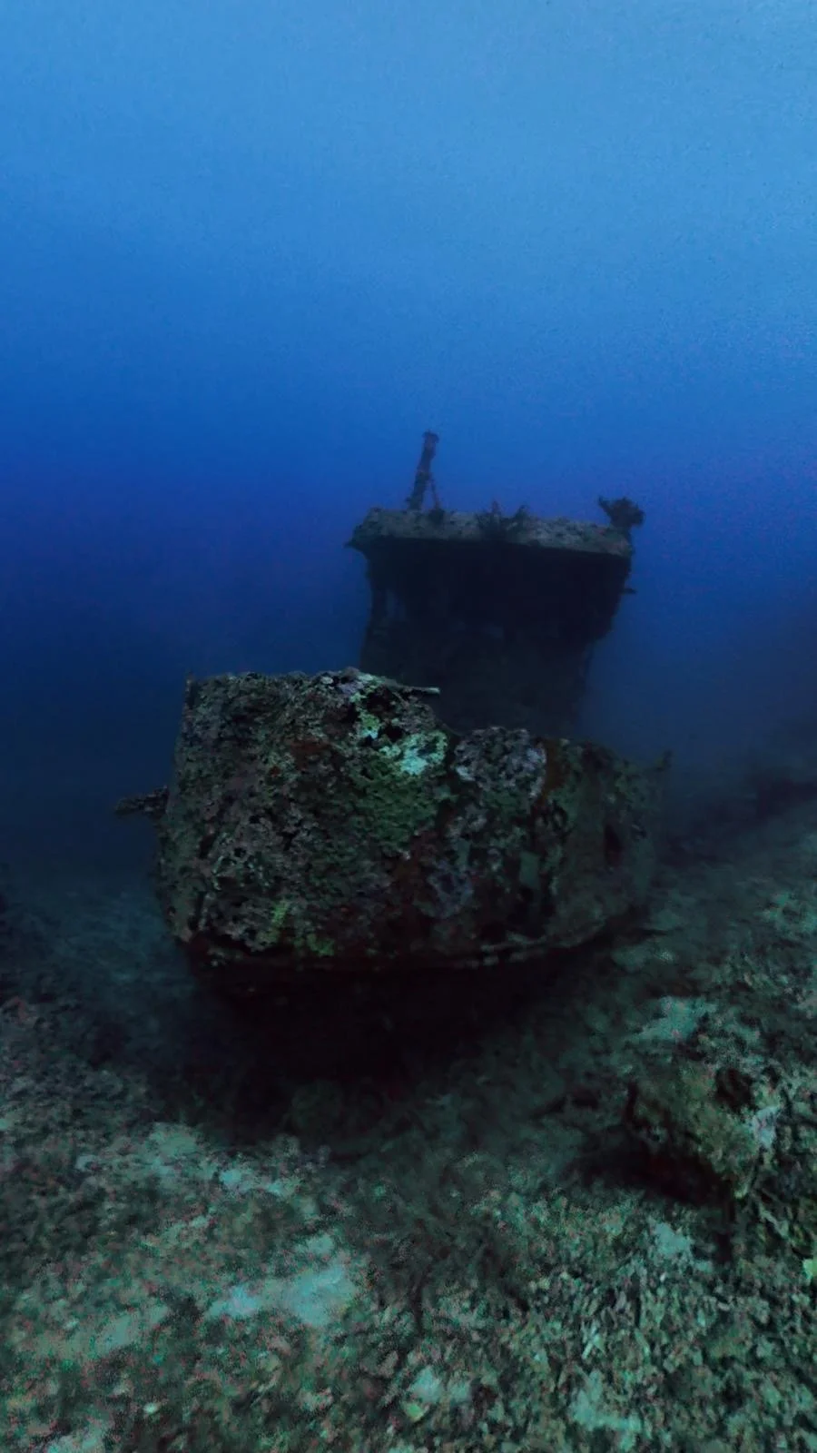 The Bonzer Wreck sits upright on the ocean floor at 24m