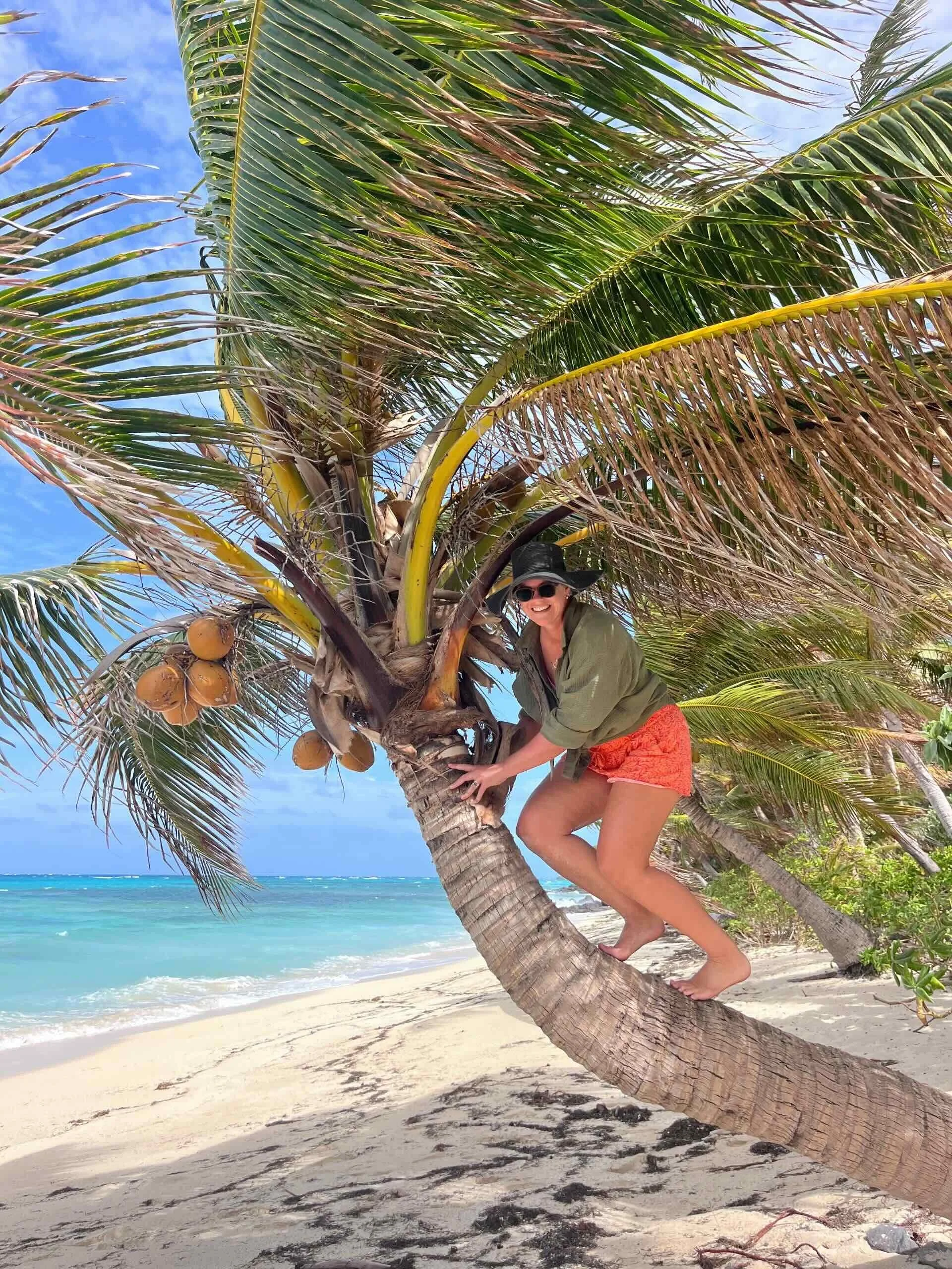 Tara Cooney (Editor) climbing a coconut tree in Fiji