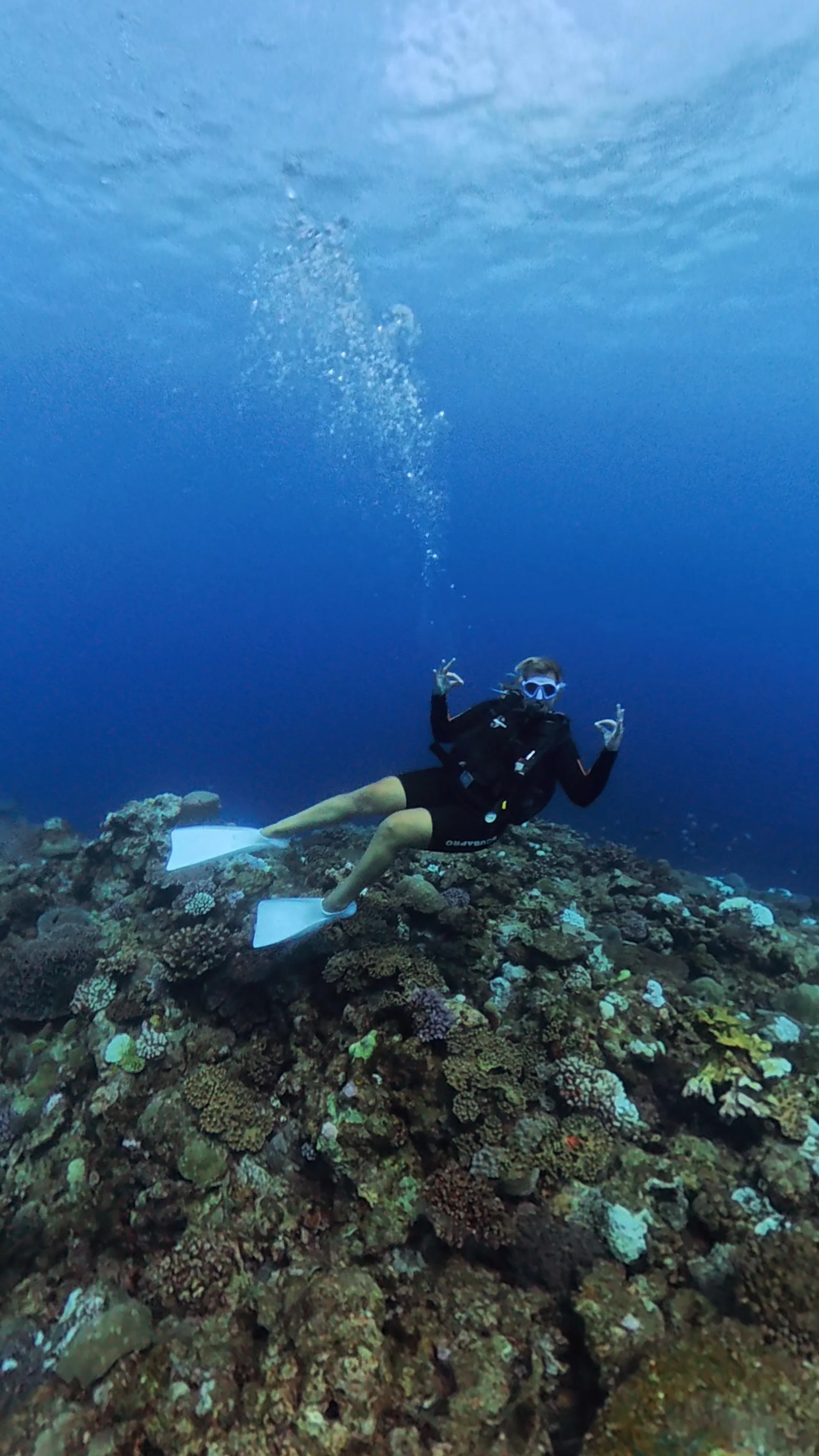 Tara Cooney gives Big Blue Vanuatu the all OK