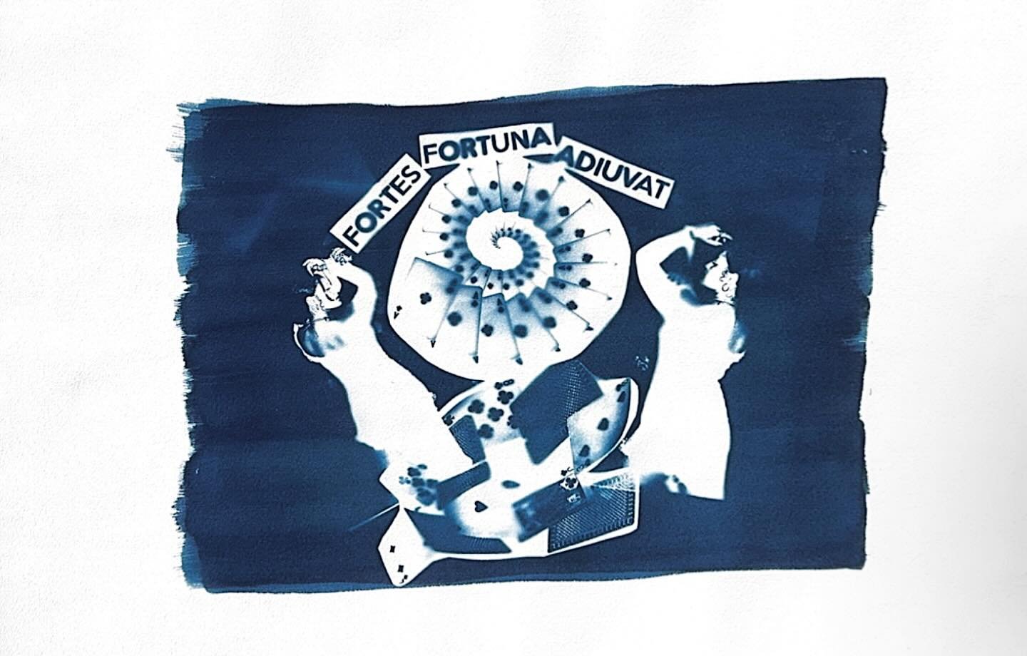 Fortune Favors The Bold

30&rdquo; x 22&rdquo; 
#cyanotype by me