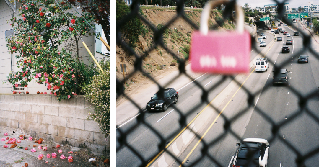 Instagram Landscape (71) 2.PNG