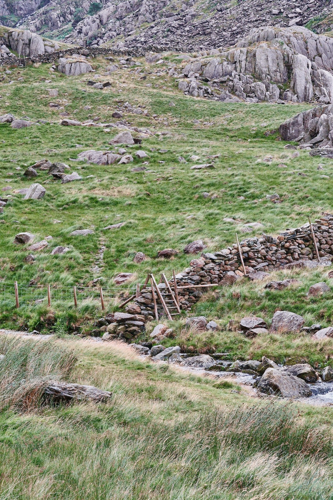 XT5X4566_Wales_23-07-10.jpg