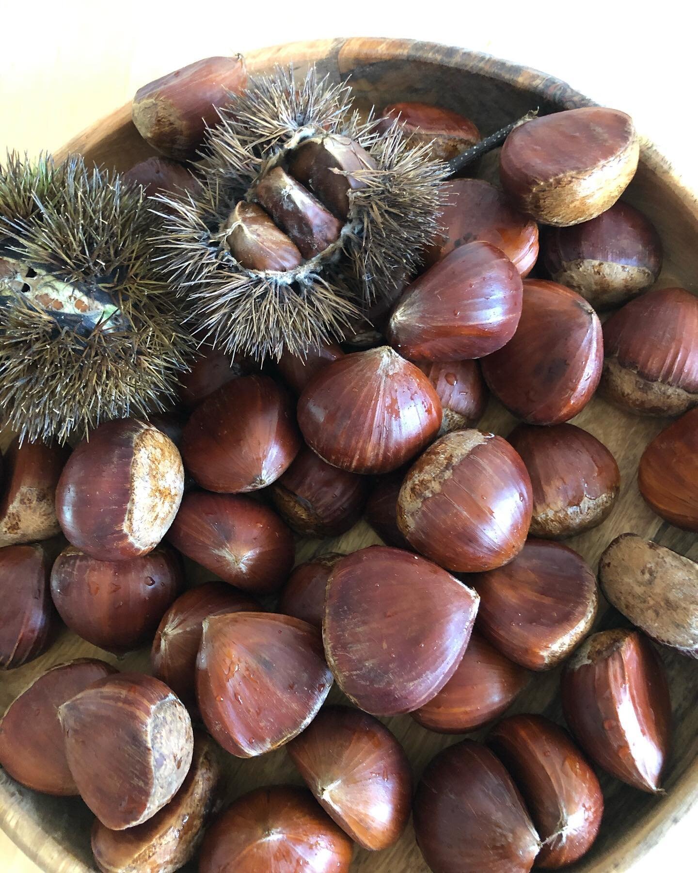 栗、始まりました。﻿
﻿
﻿
#栗仕事#季節の手仕事#chestnut#ch&acirc;taigne#サルボ恭子#kyokosalbot