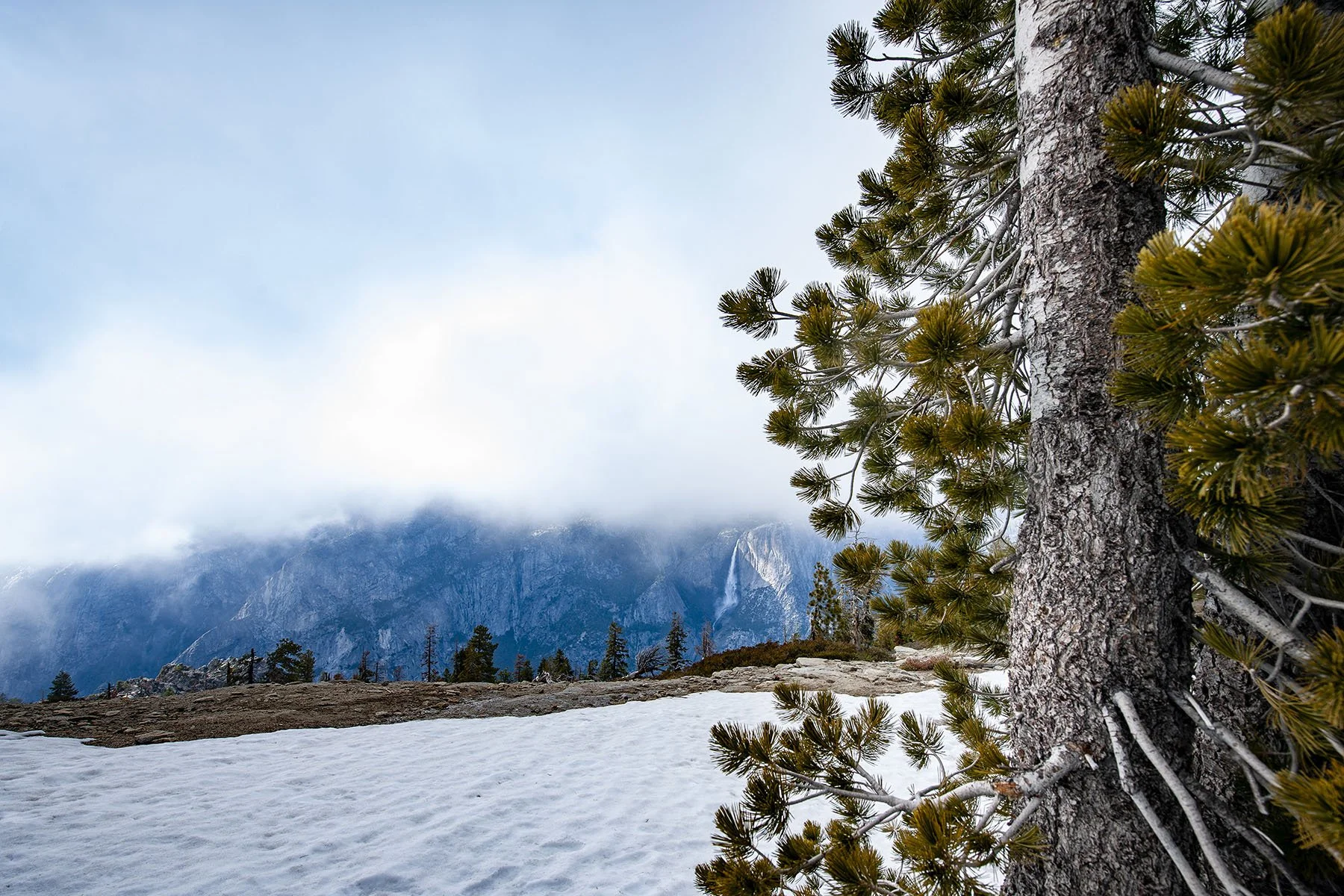 Vikas Dutt Photography Yosemite Tourism 099.jpg