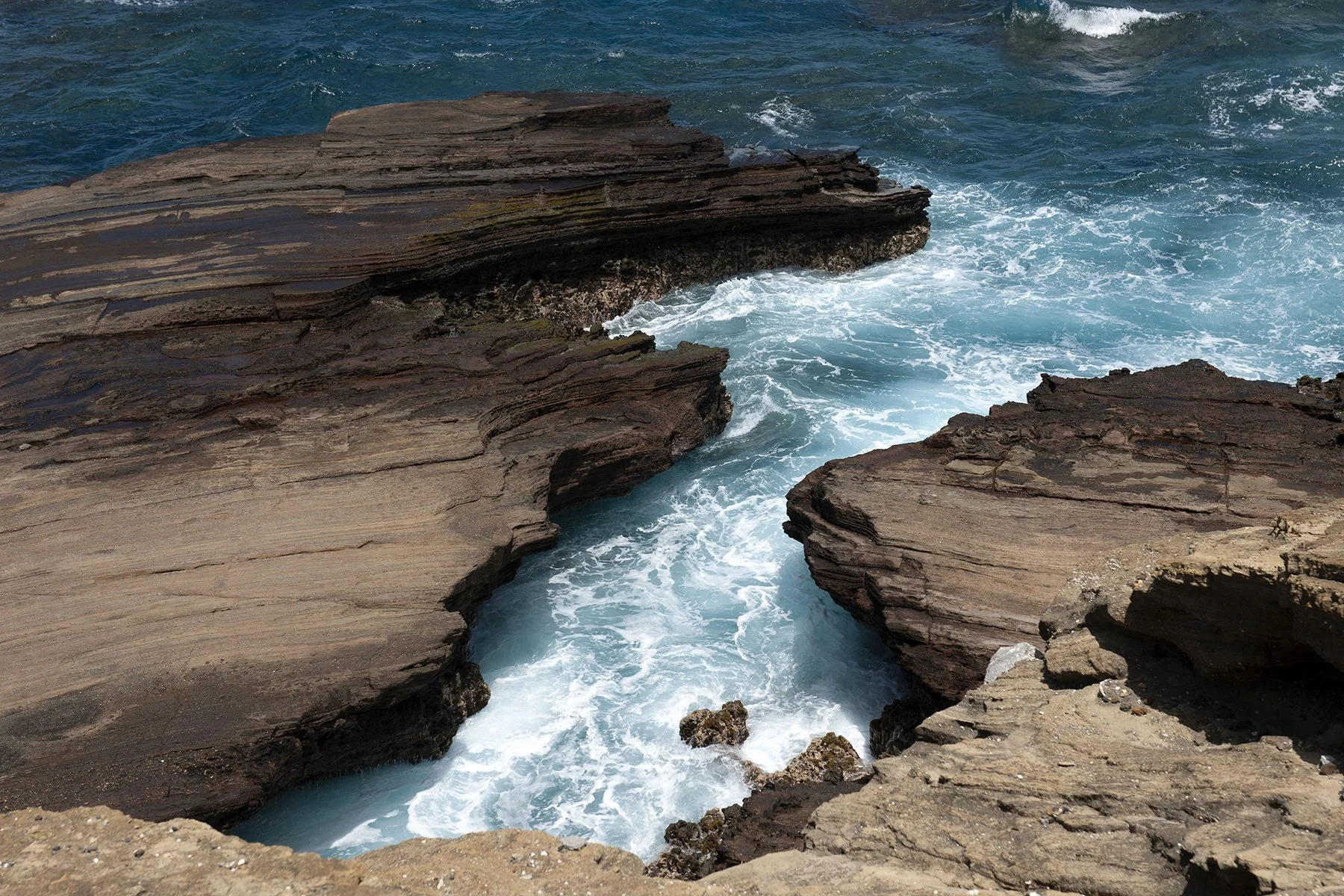 Vikas Dutt Photography Hawai 157.jpg