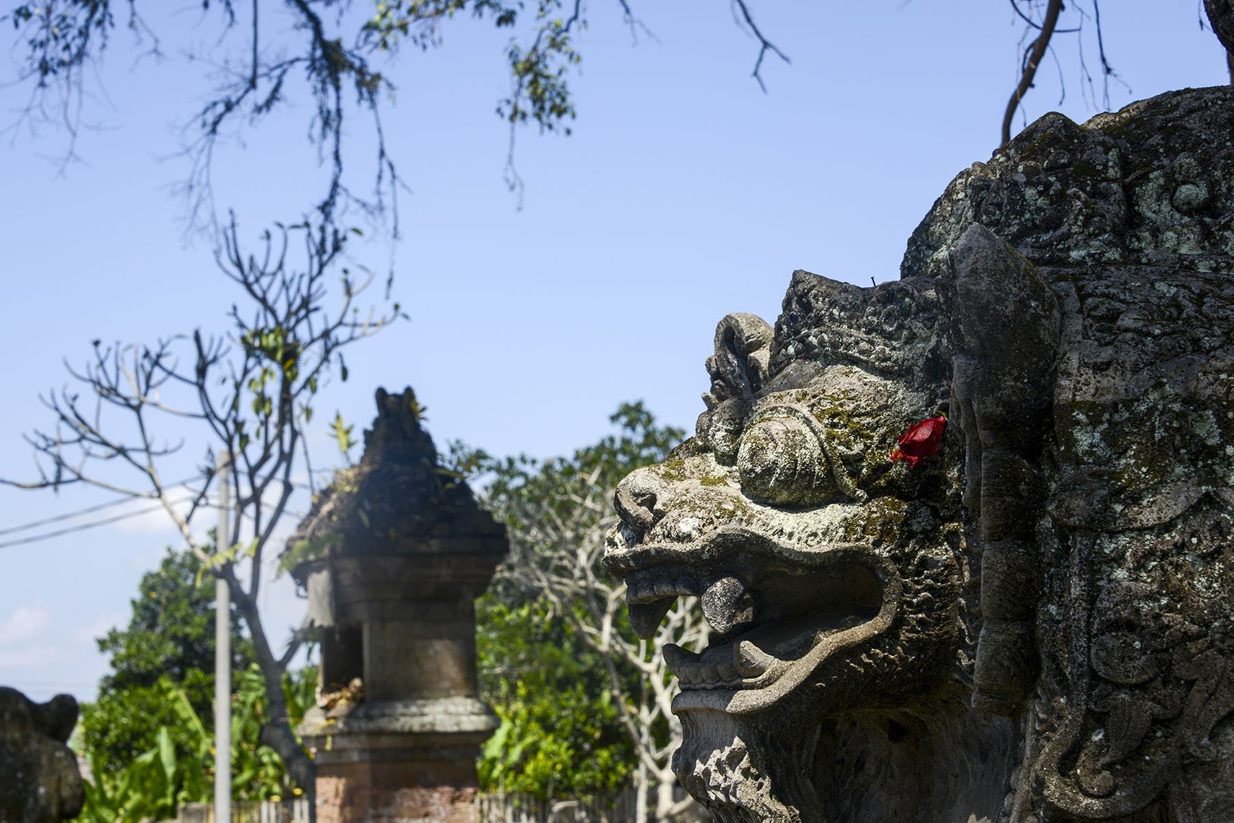 Vikas Dutt Photography Bali Tourism 0023.jpg