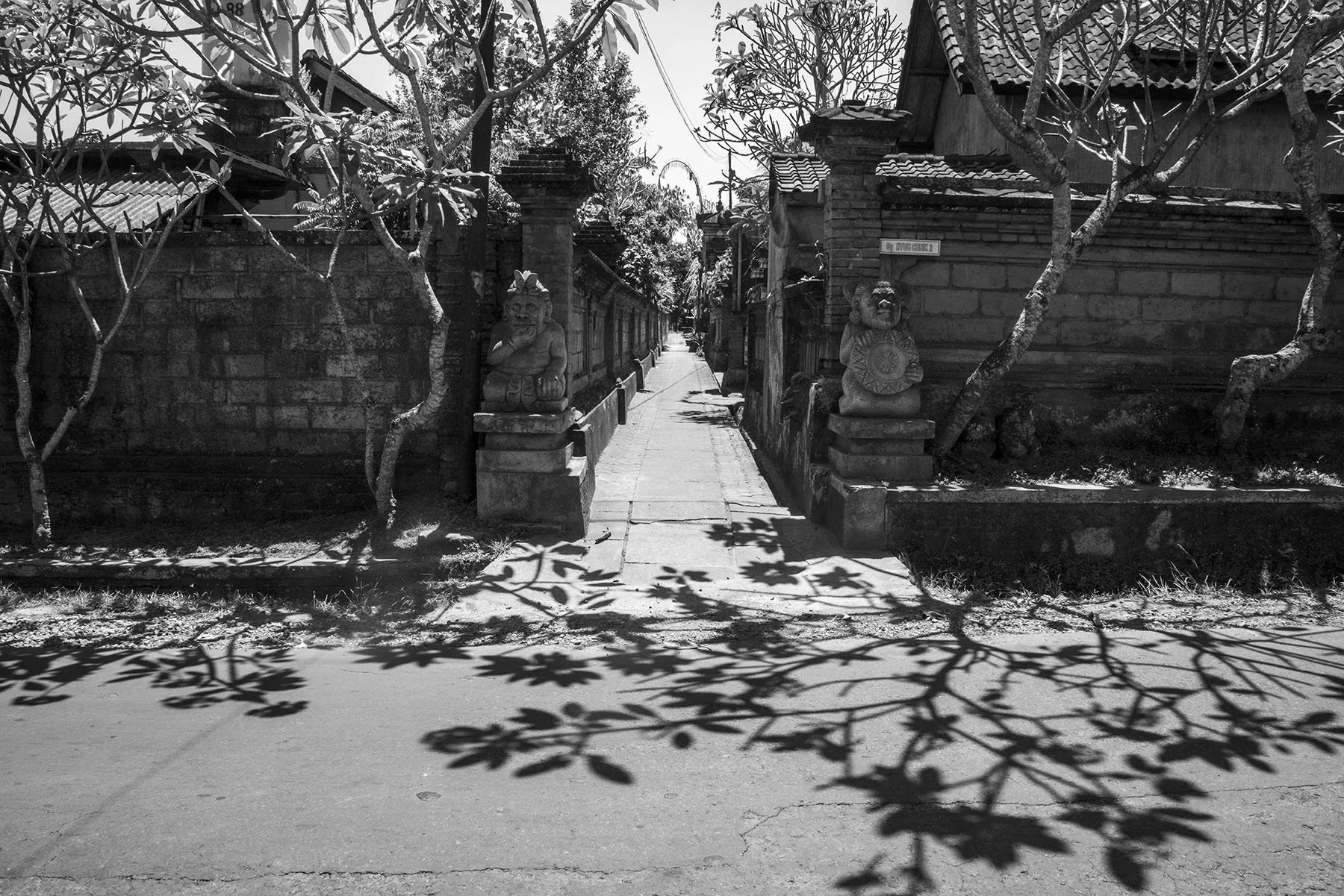 Vikas Dutt Photography Bali Tourism 0077.jpg