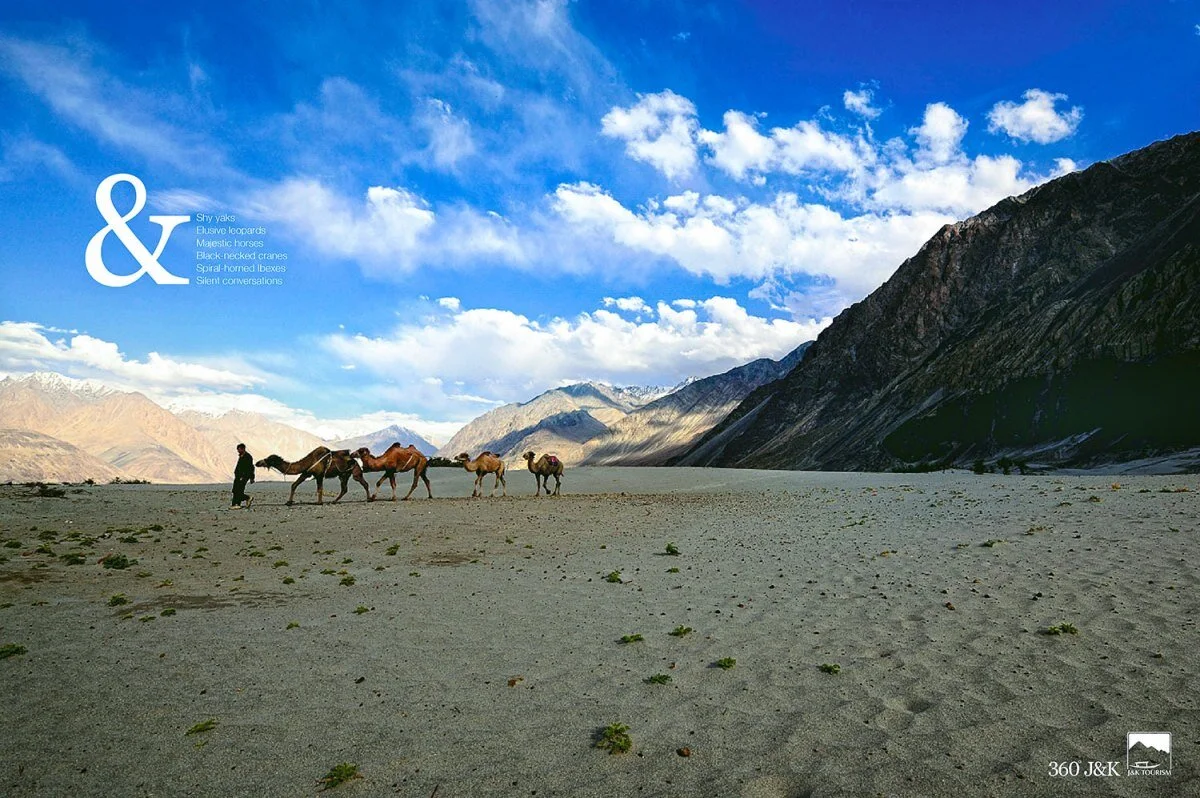 J&K TOURISM-Nubra Valley 005 Vikas Dutt.JPG
