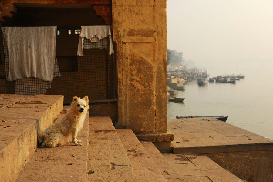 Best Travel Photographer India-Incredible India-Daily Diary-Vikas Dutt-Wait-0003.JPG