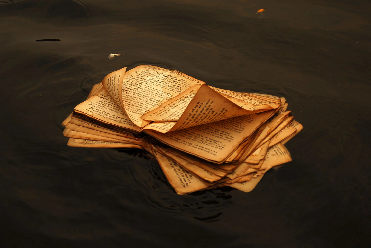 Best Travel Photographer-Vikas Dutt-Reading-0040.JPG