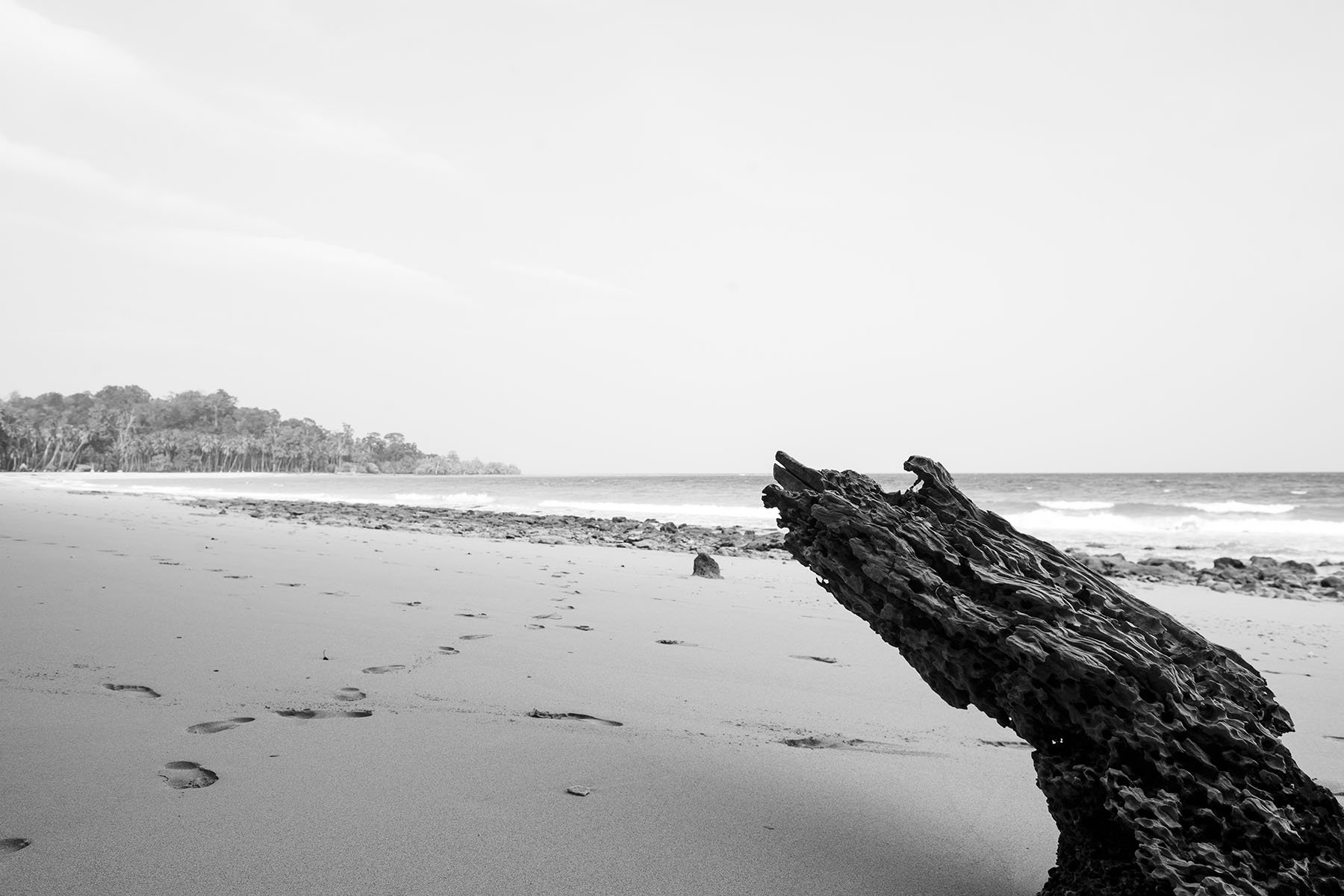 Vikas Dutt Photography Andaman Tourism 137.jpg