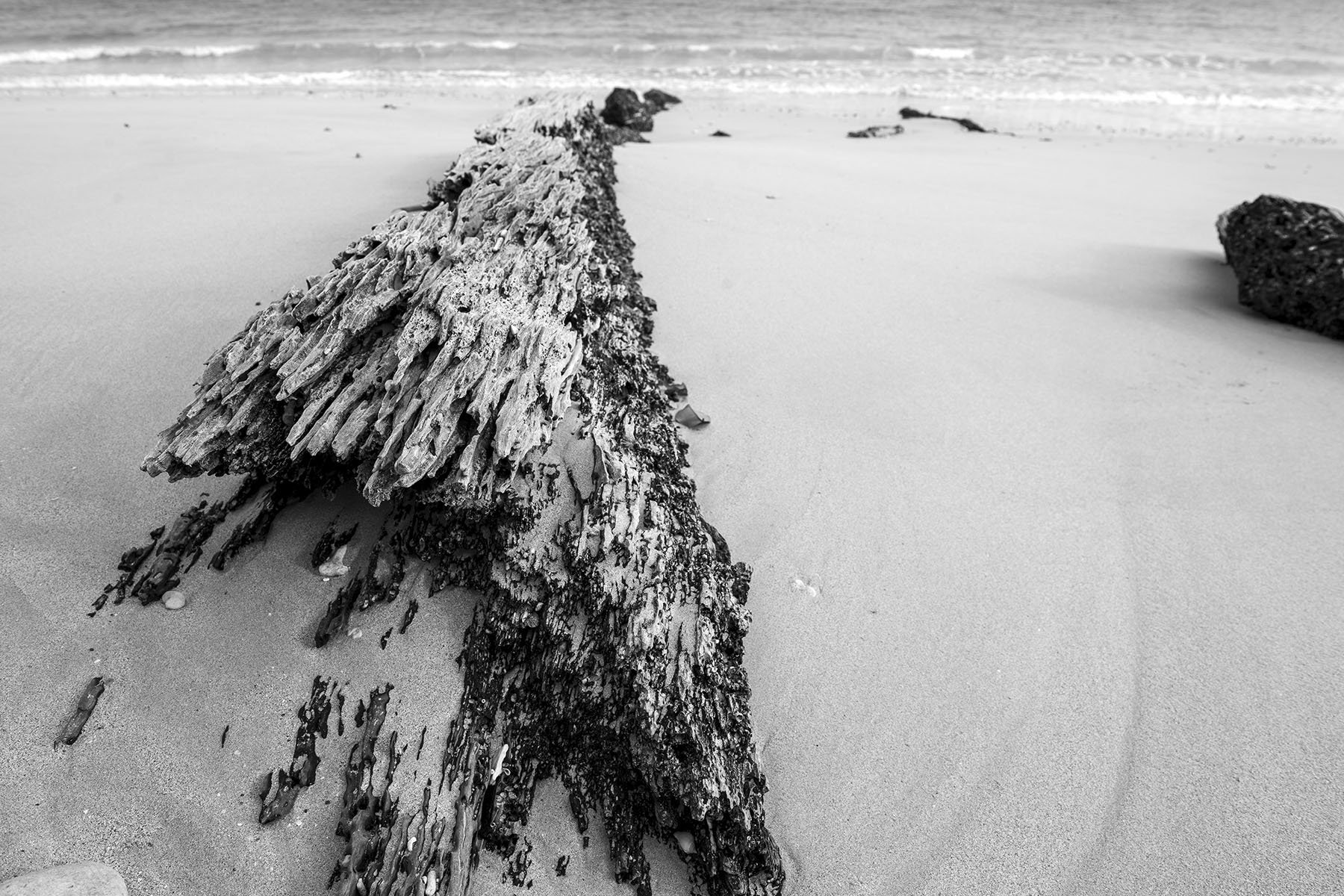 Vikas Dutt Photography Andaman Tourism 139.jpg