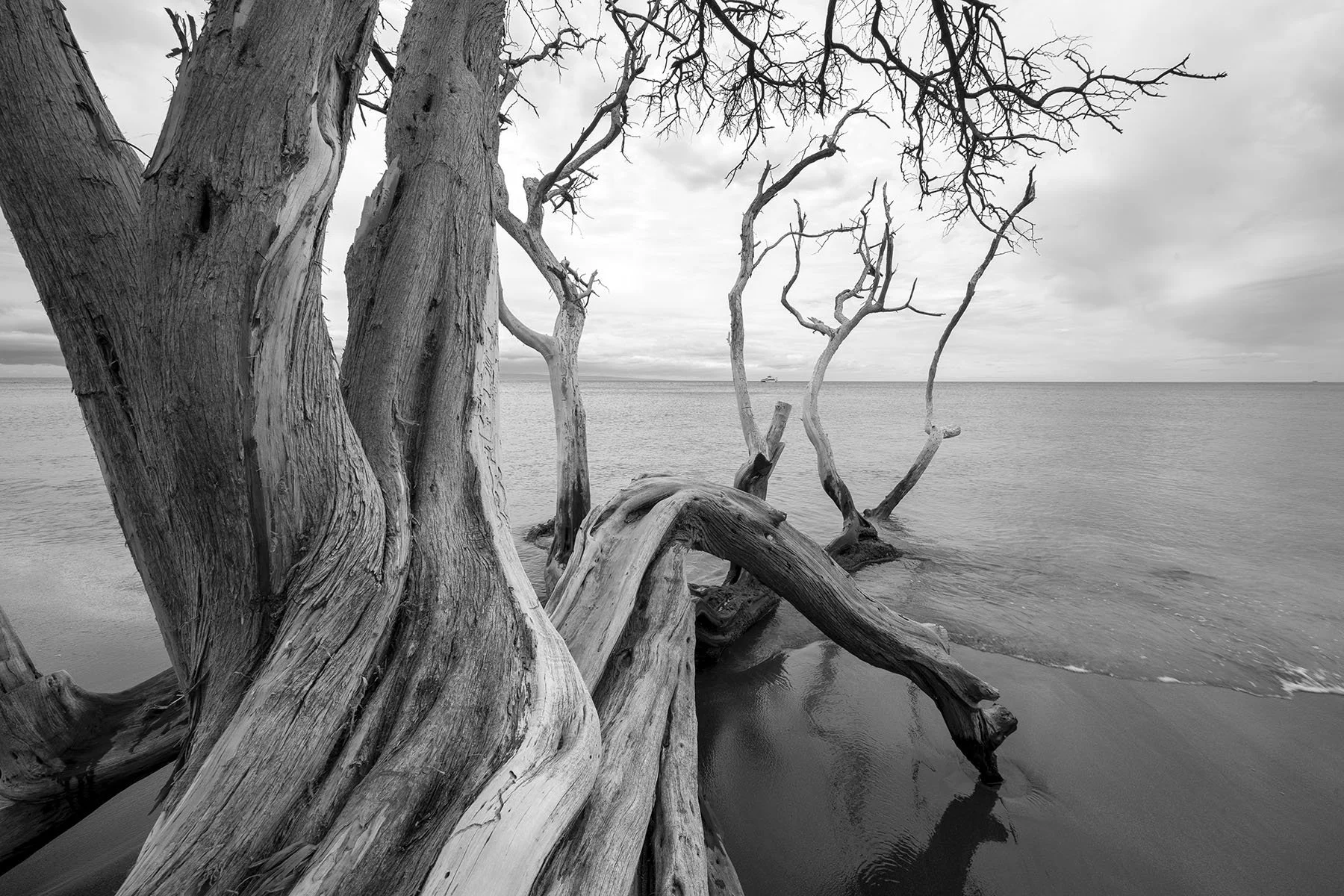 Vikas Dutt Photography HAWAI Tourism 104.jpg