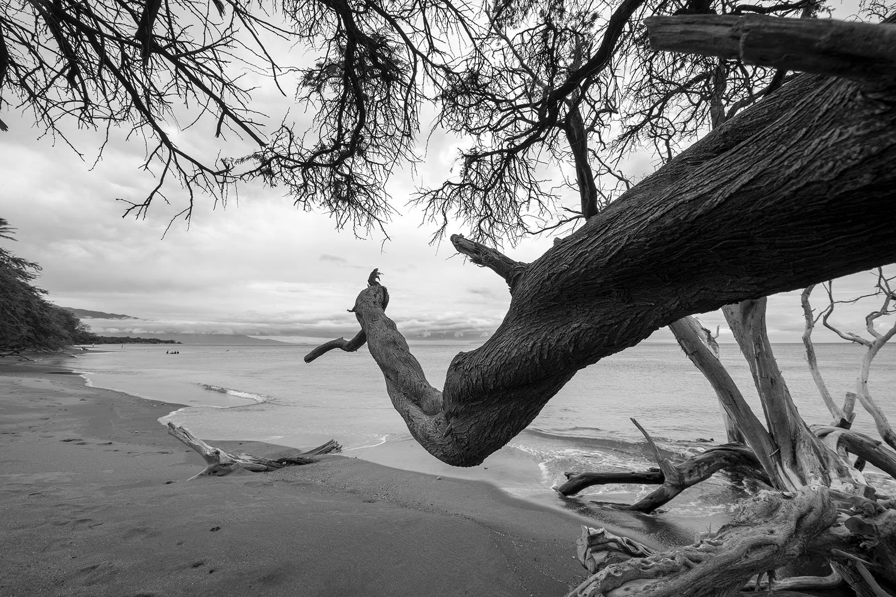 Vikas Dutt Photography Hawai 151.jpg