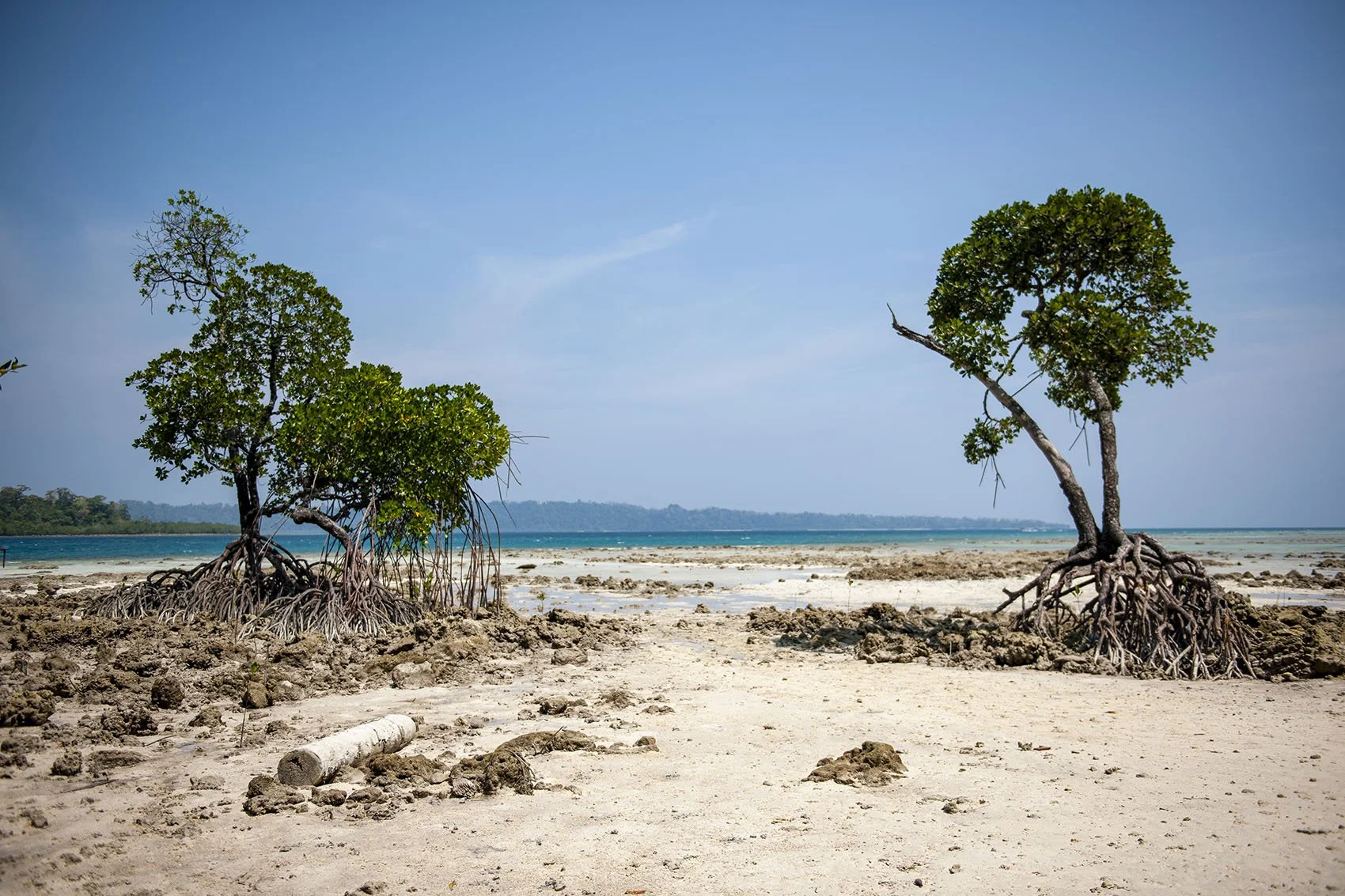 Vikas Dutt Photography Andaman Tourism 99.jpg