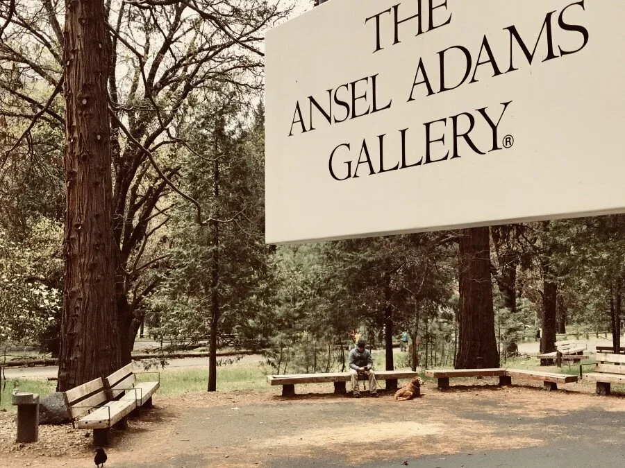 ansel+adams+by+VikasDutt.jpeg.webp