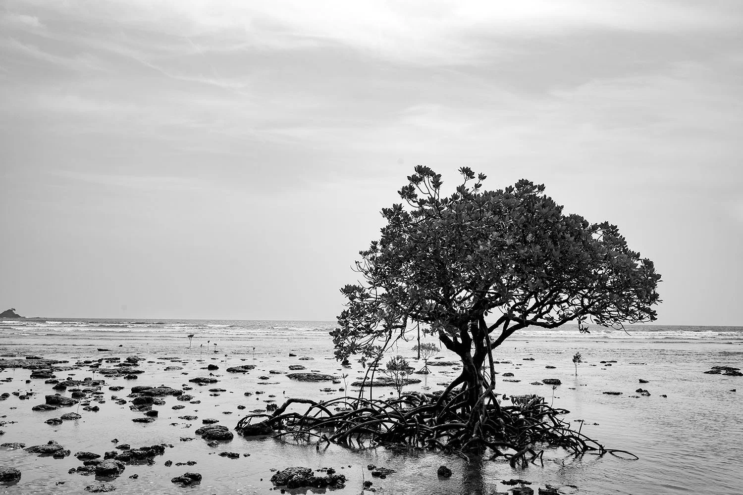 Vikas Dutt Photography Andaman Tourism 146.jpg