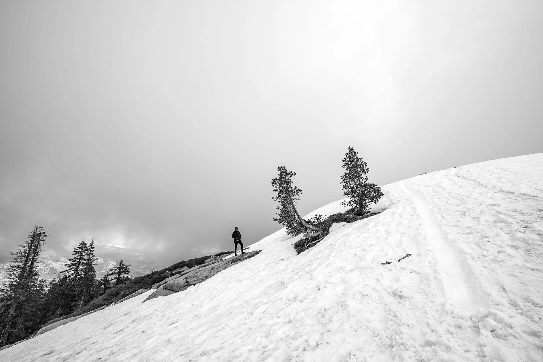 Vikas Dutt Photography Yosemite Tourism 106.jpg