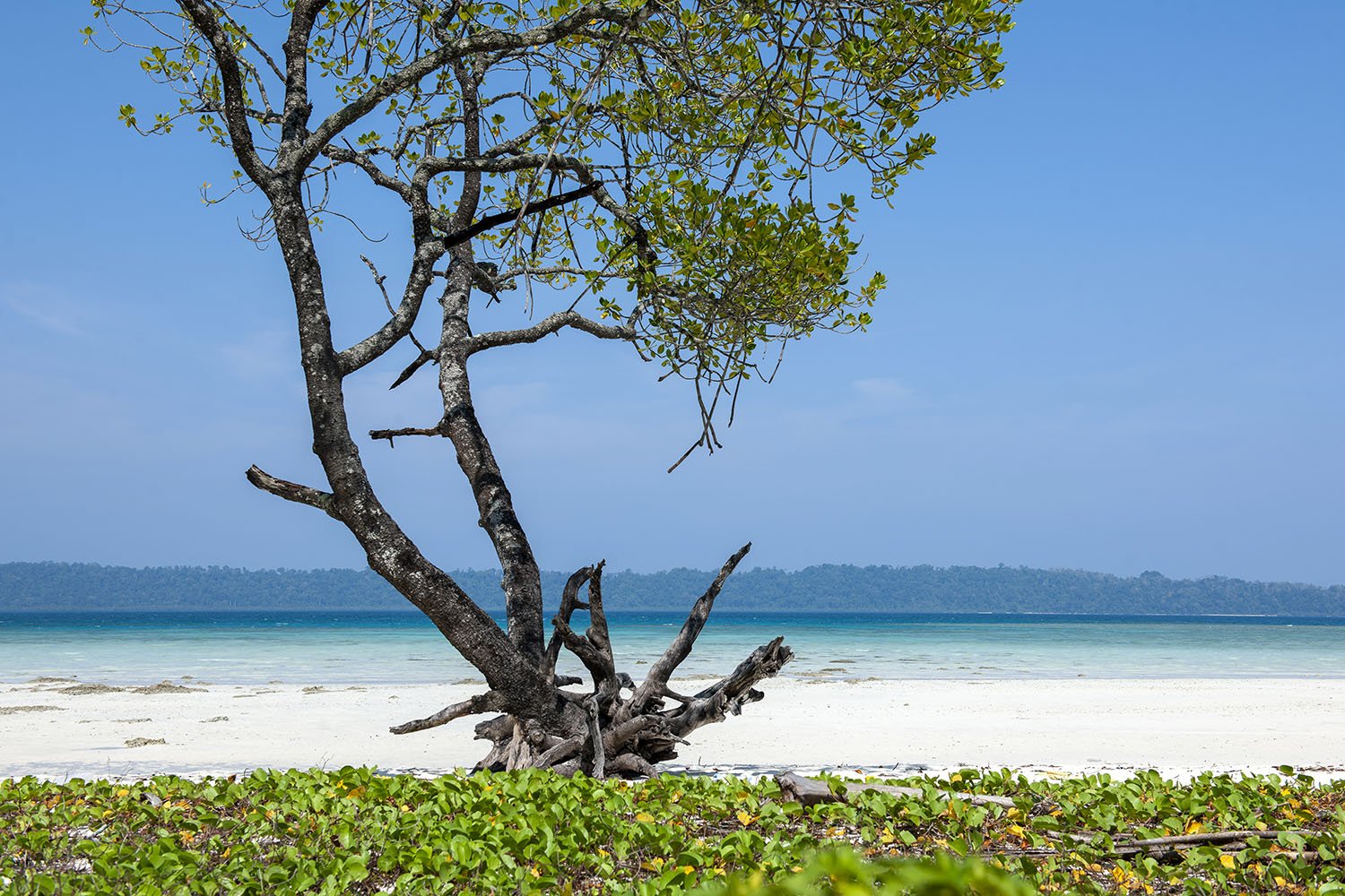 Vikas Dutt Photography Andaman Tourism 115.jpg