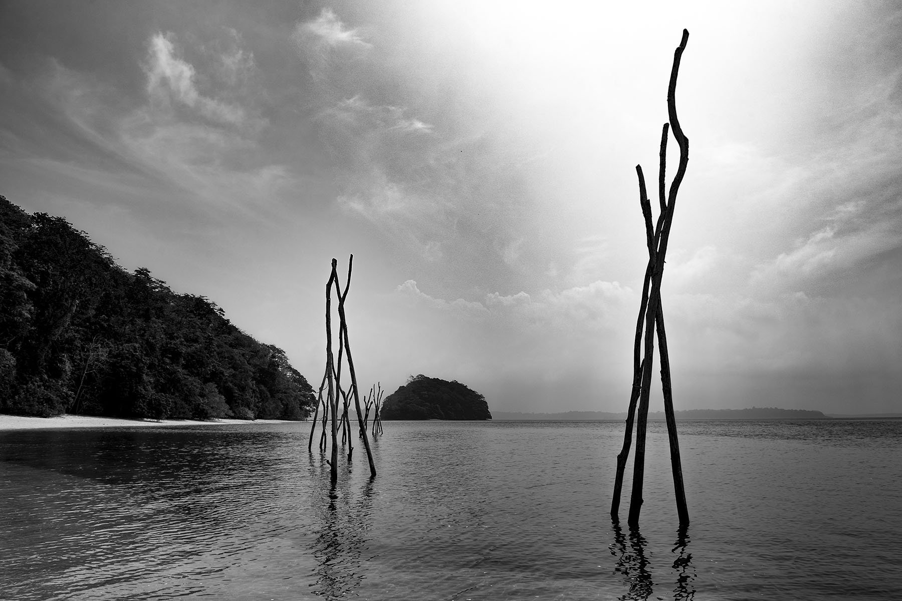 Vikas Dutt Photography Andaman Tourism 140.jpg