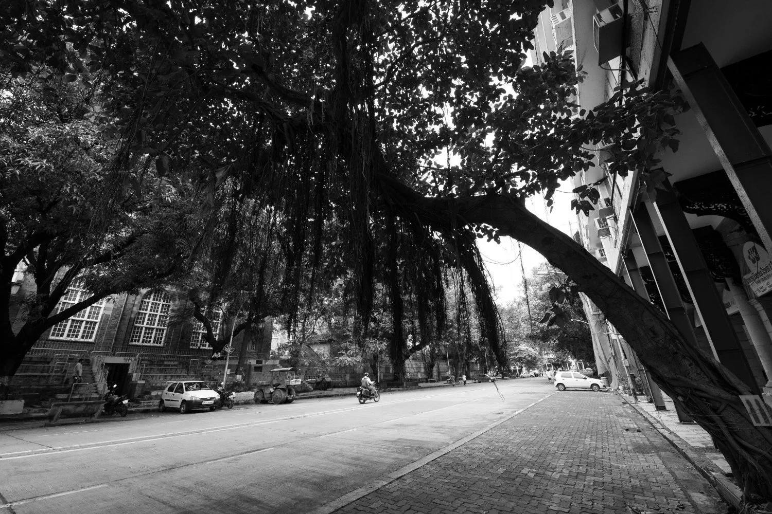 Vikas DuttDSC_6865116DSC_6865.JPG