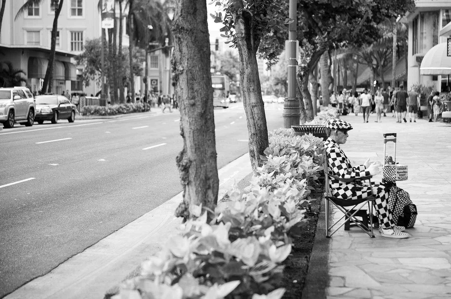 Vikas Dutt Photography Hawai 140a.jpg