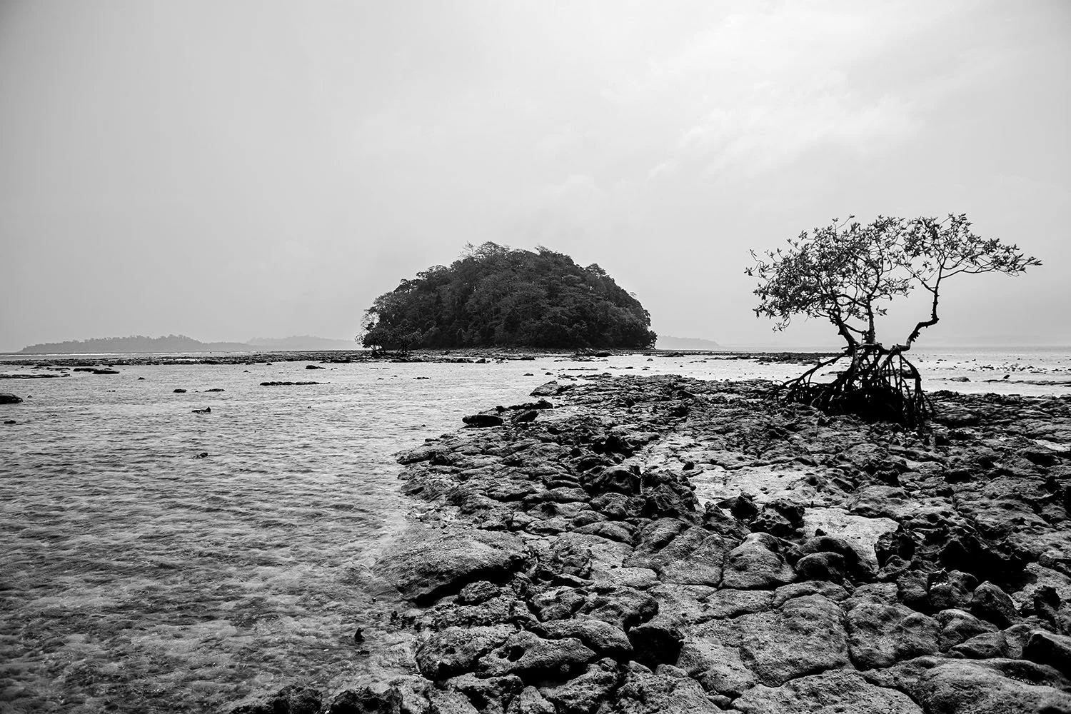Vikas Dutt Photography Andaman Tourism 144.jpg