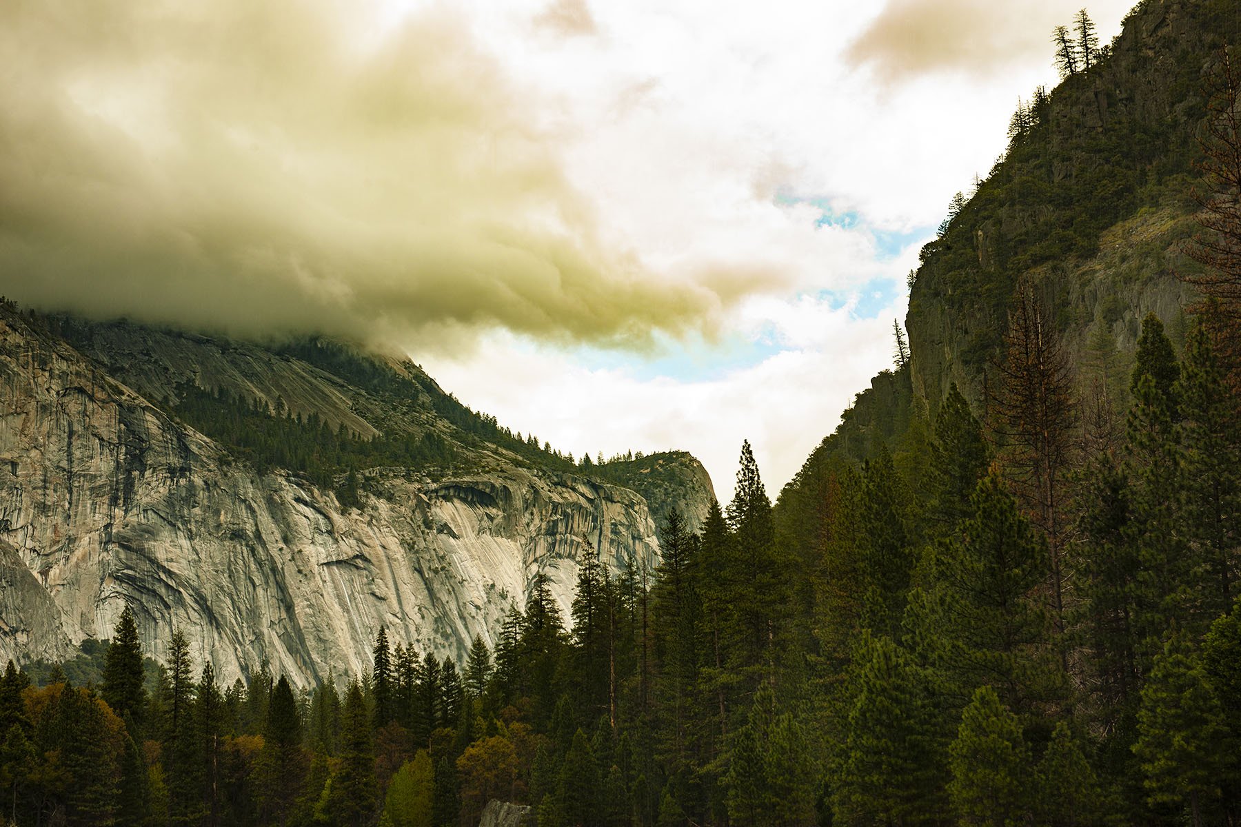 Vikas Dutt Photography Yosemite Street 21.jpg